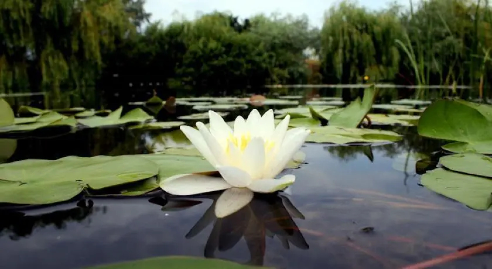 Casa de Vacanta Dunavatul de Jos