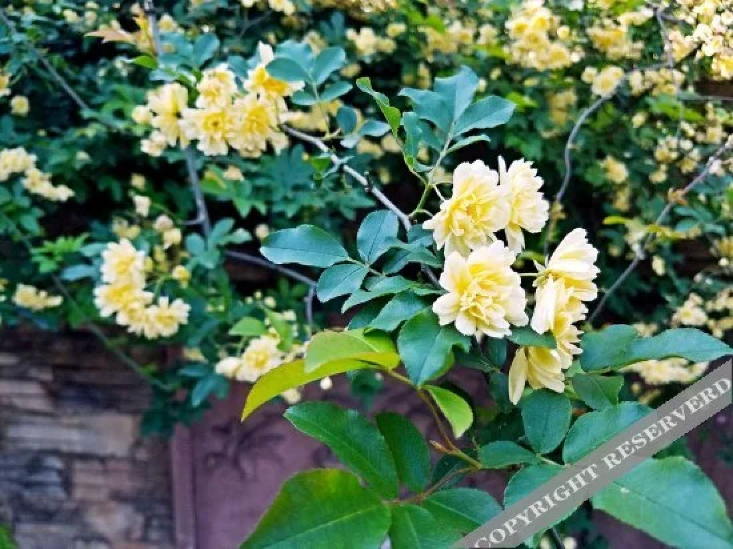 Shengli Liyuan Hotel