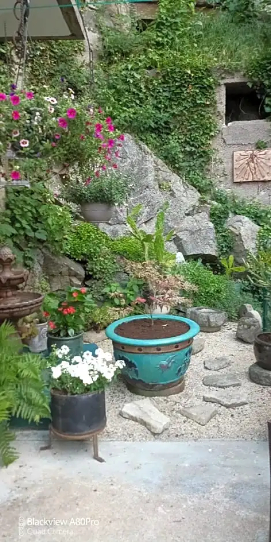 Chambre Bounty cuisine privée, salle d'eau, terrasse, garage