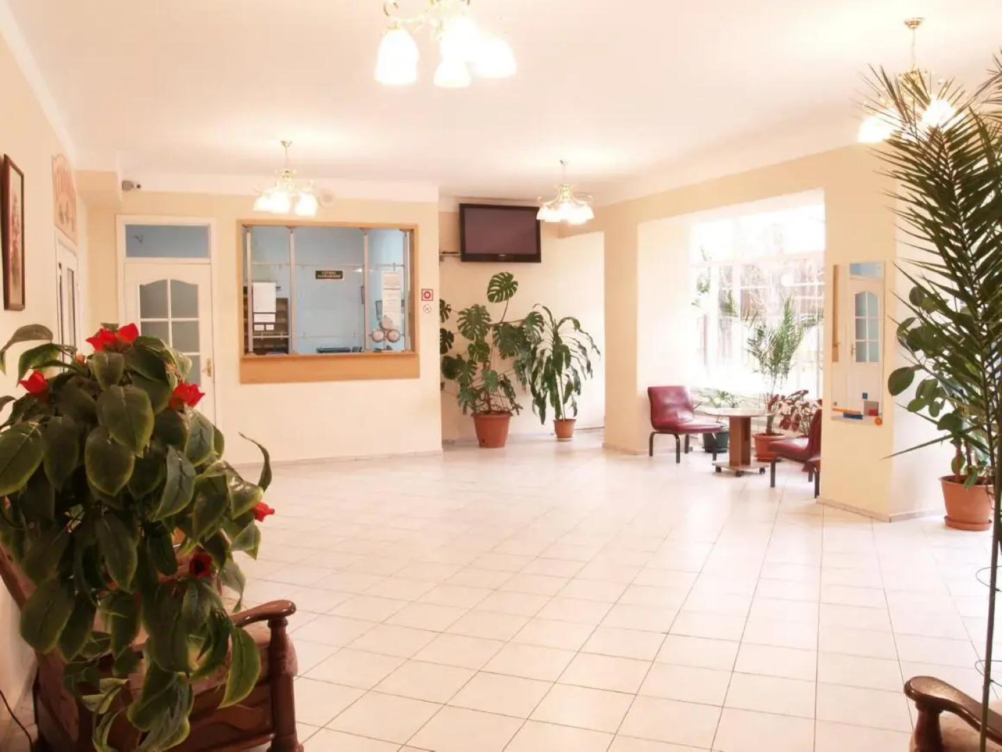 Альбатрос (Туапсе)