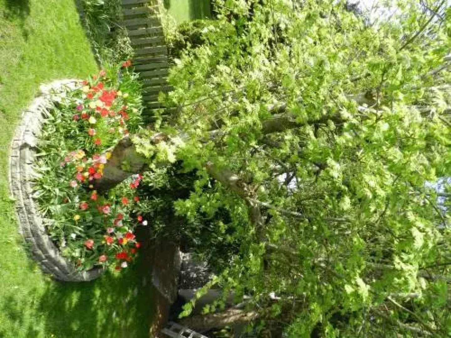 Serenity Bed and Breakfast