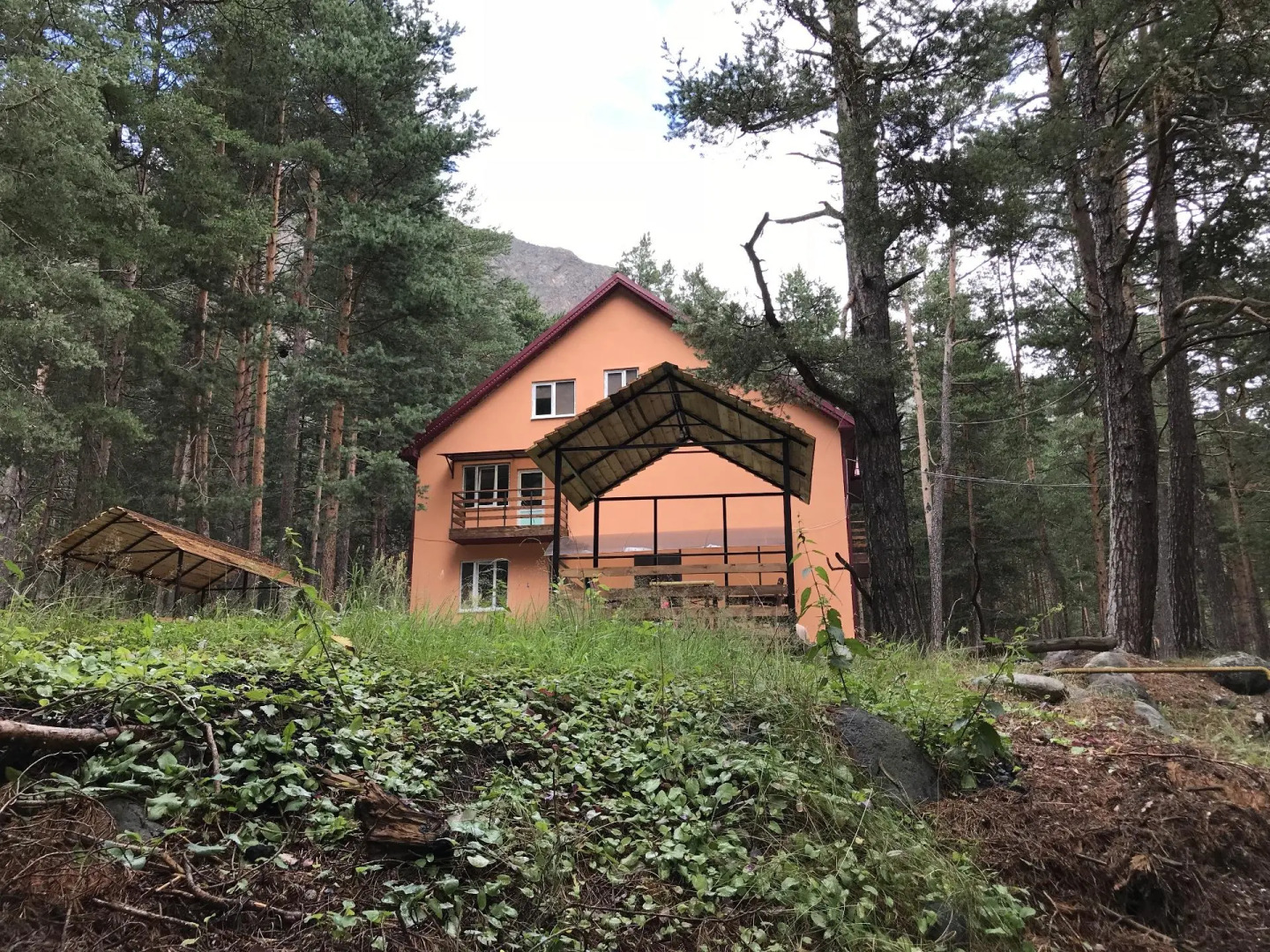 Метелица Эльбрус