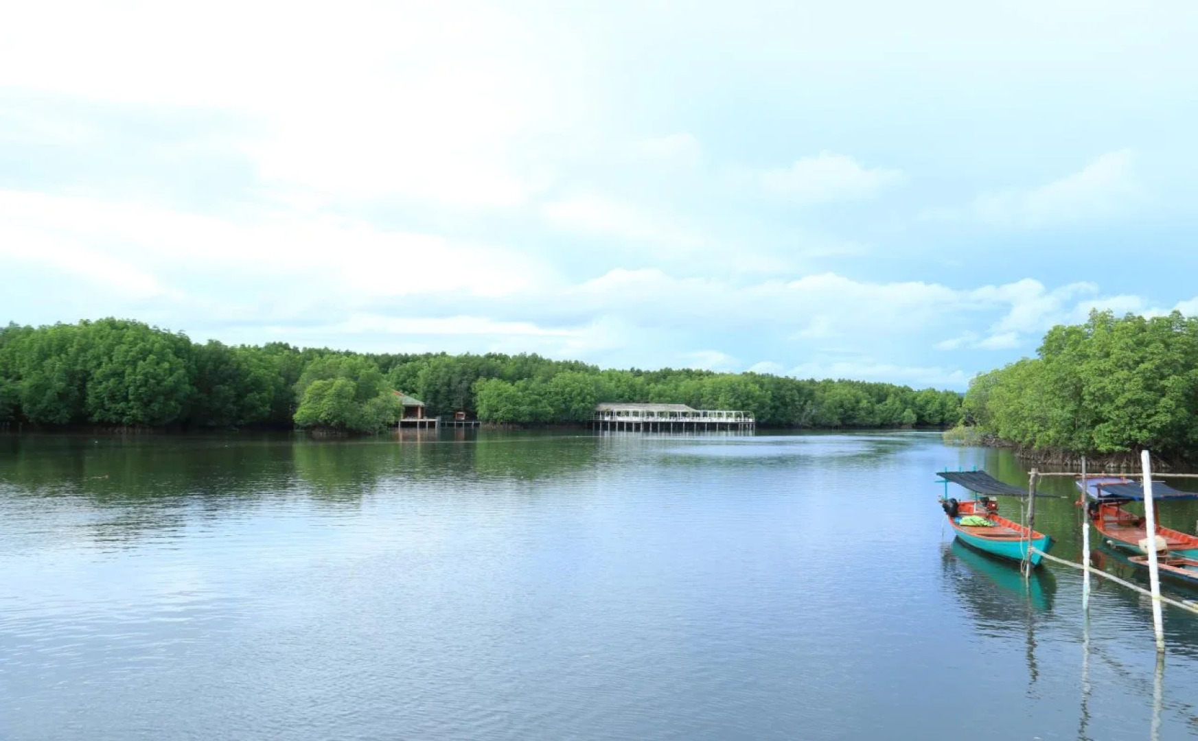 Mangrove Sanctuary Resort