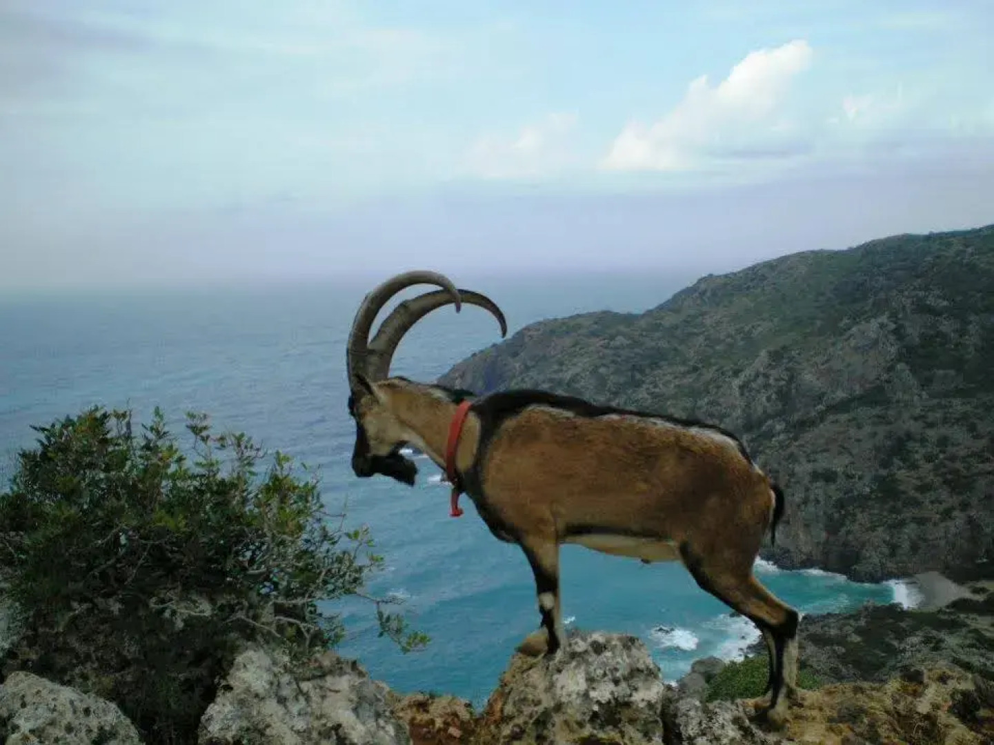 Villa Aloni-traditional Stone Villa With Nice View,pool and Garden