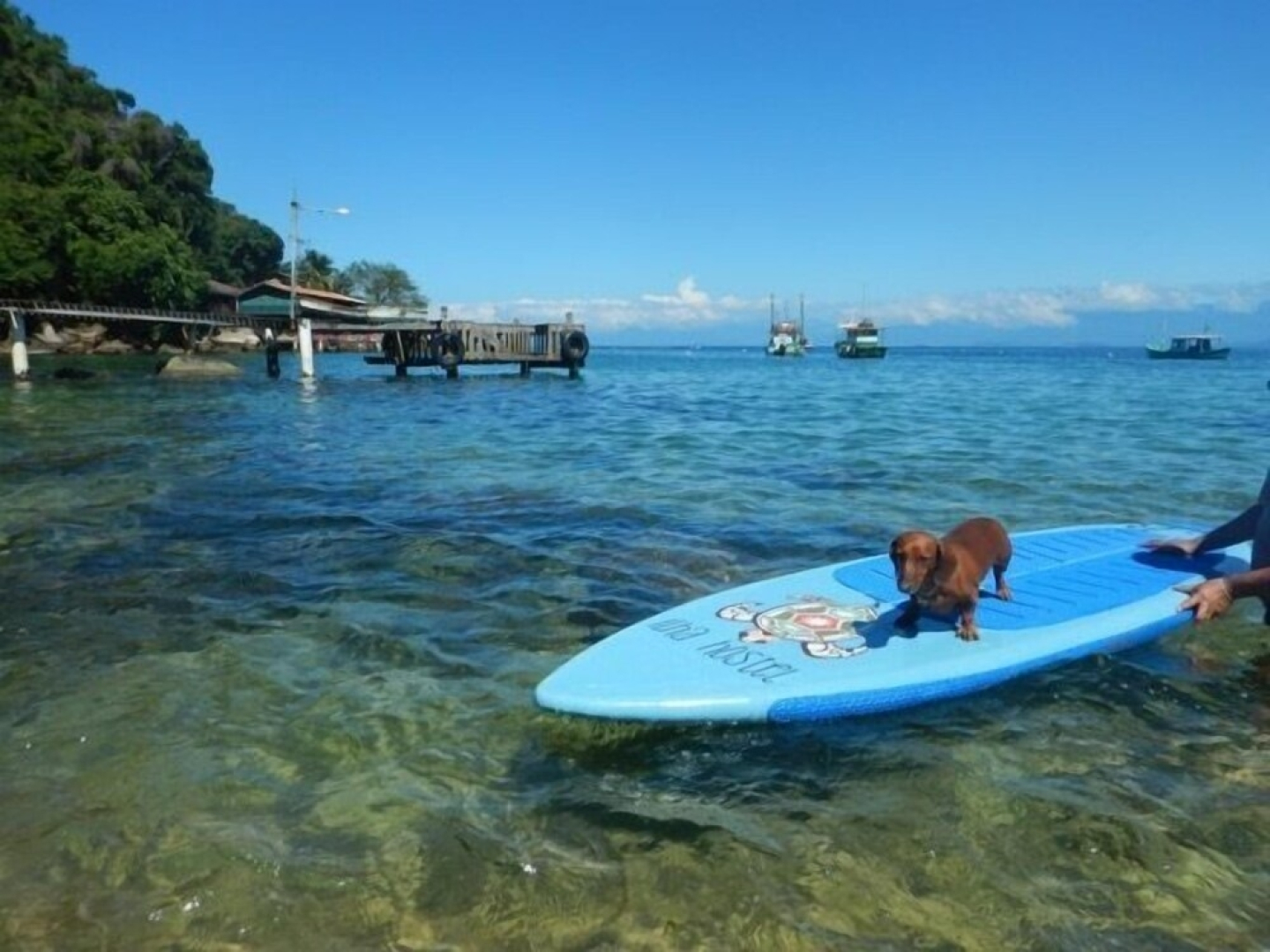Ilha Hostel & Pousada