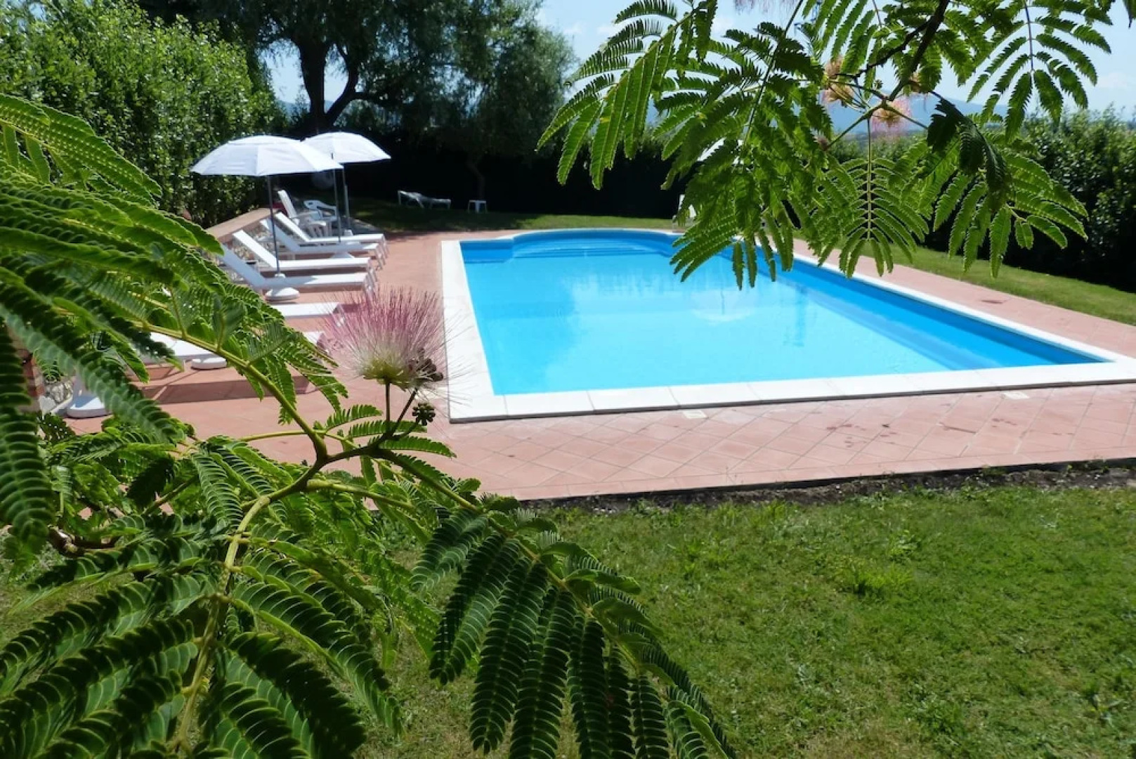 Agriturismo Il Pallocco