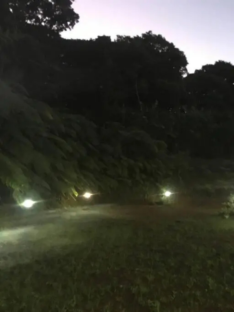 Les Lucioles 2 Beau T3 en forêt tropicale avec piscine