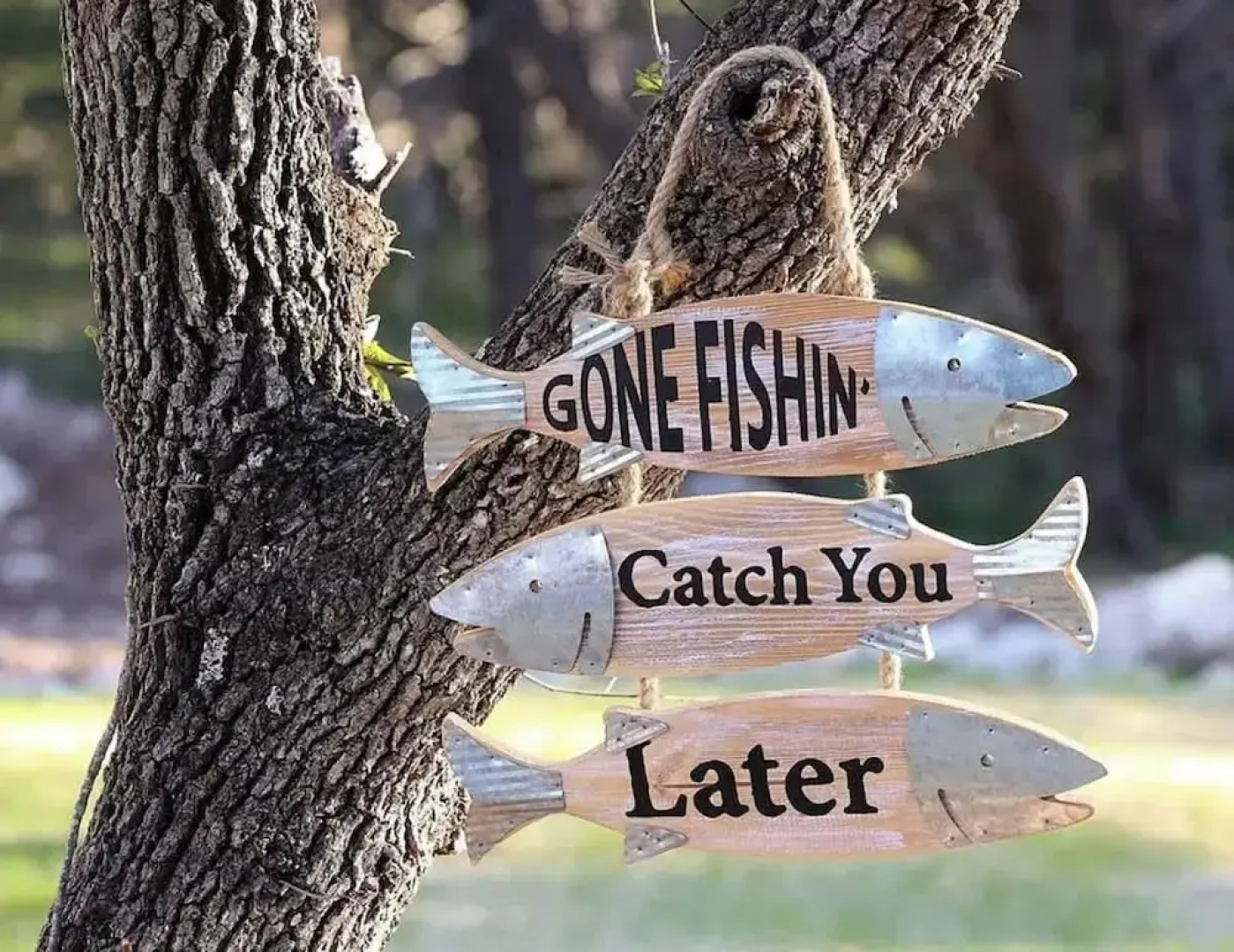 Serene Getaway Nestled in the Tx Hill Country!