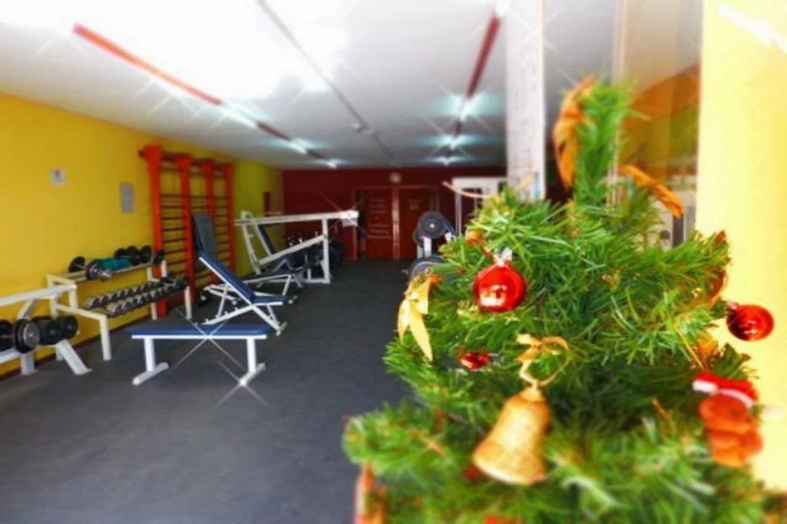 Castillo Beach Bungalows