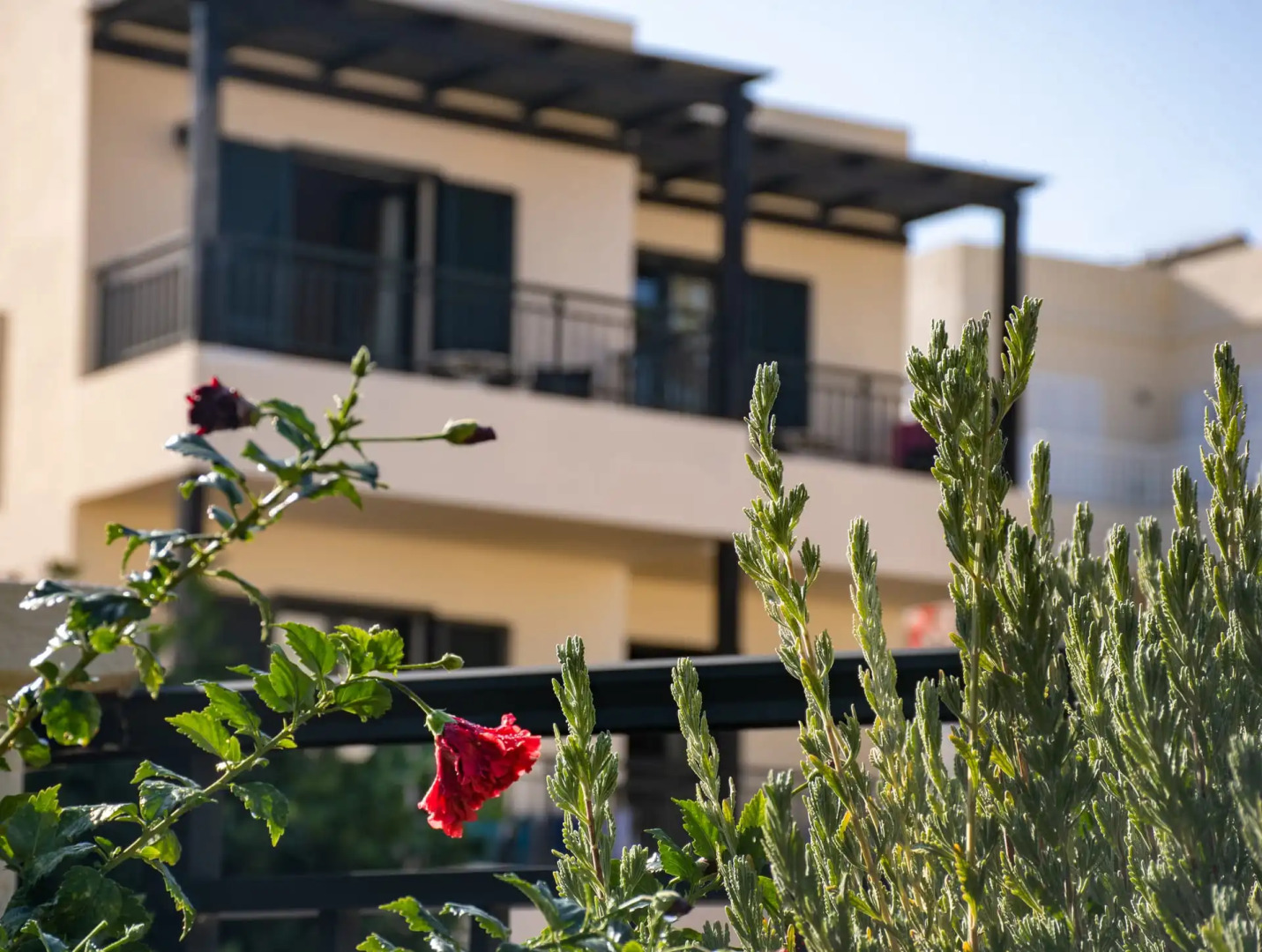 Anastasia Hotel Stalis