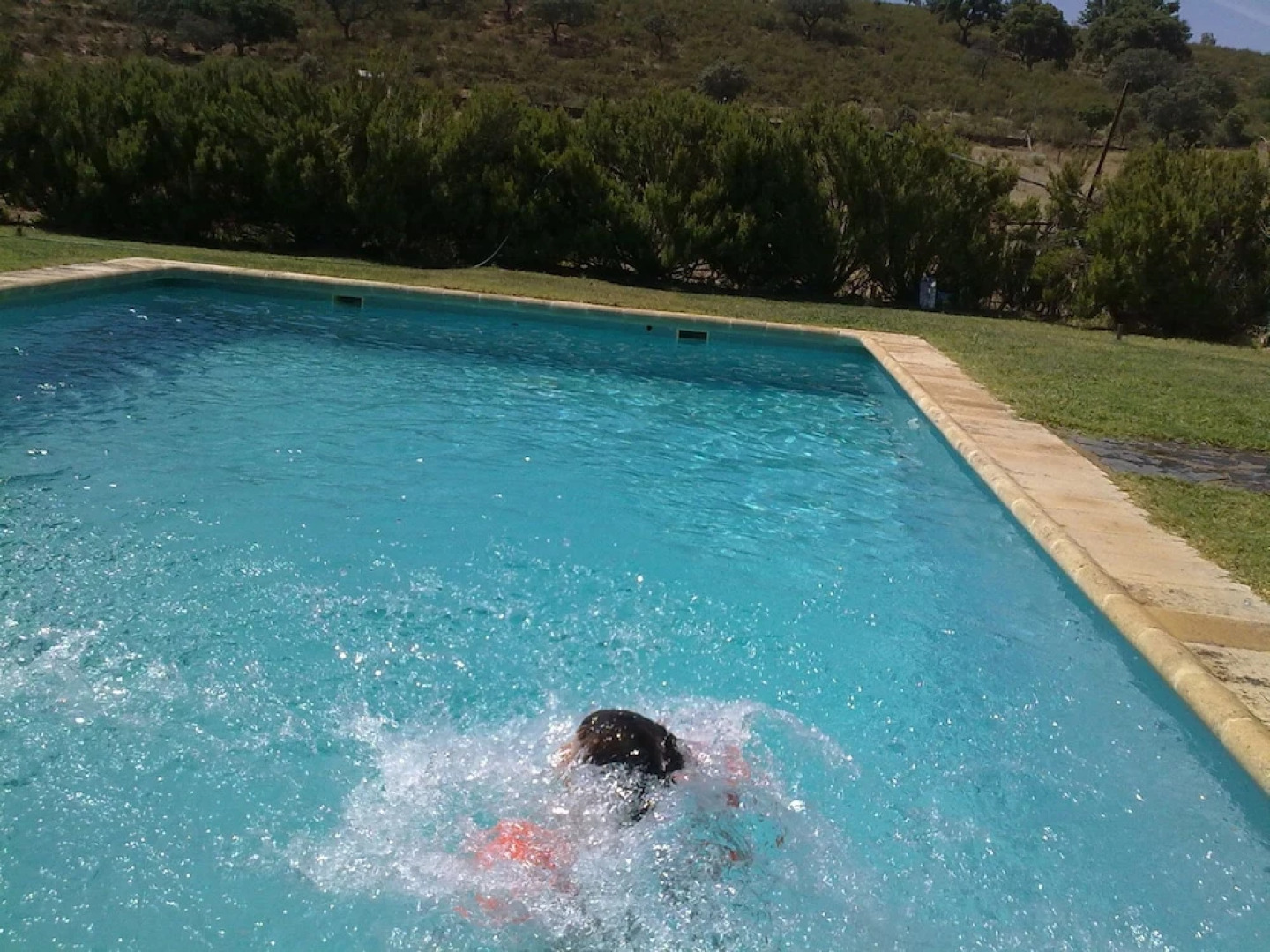 Al-Mofrag Mirador de Monfragüe