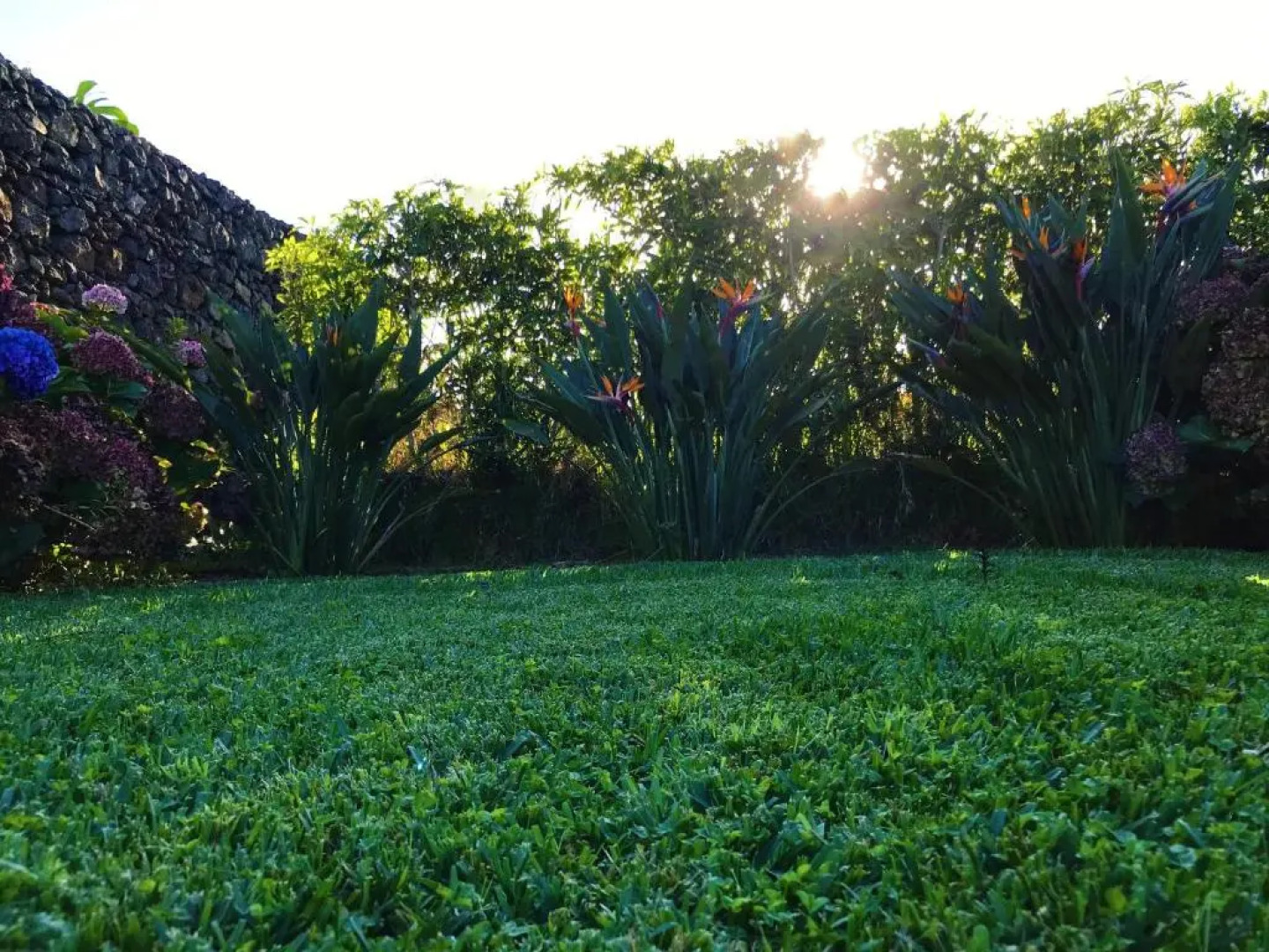 Surf Beach_Santa Barbara Secret Gardens