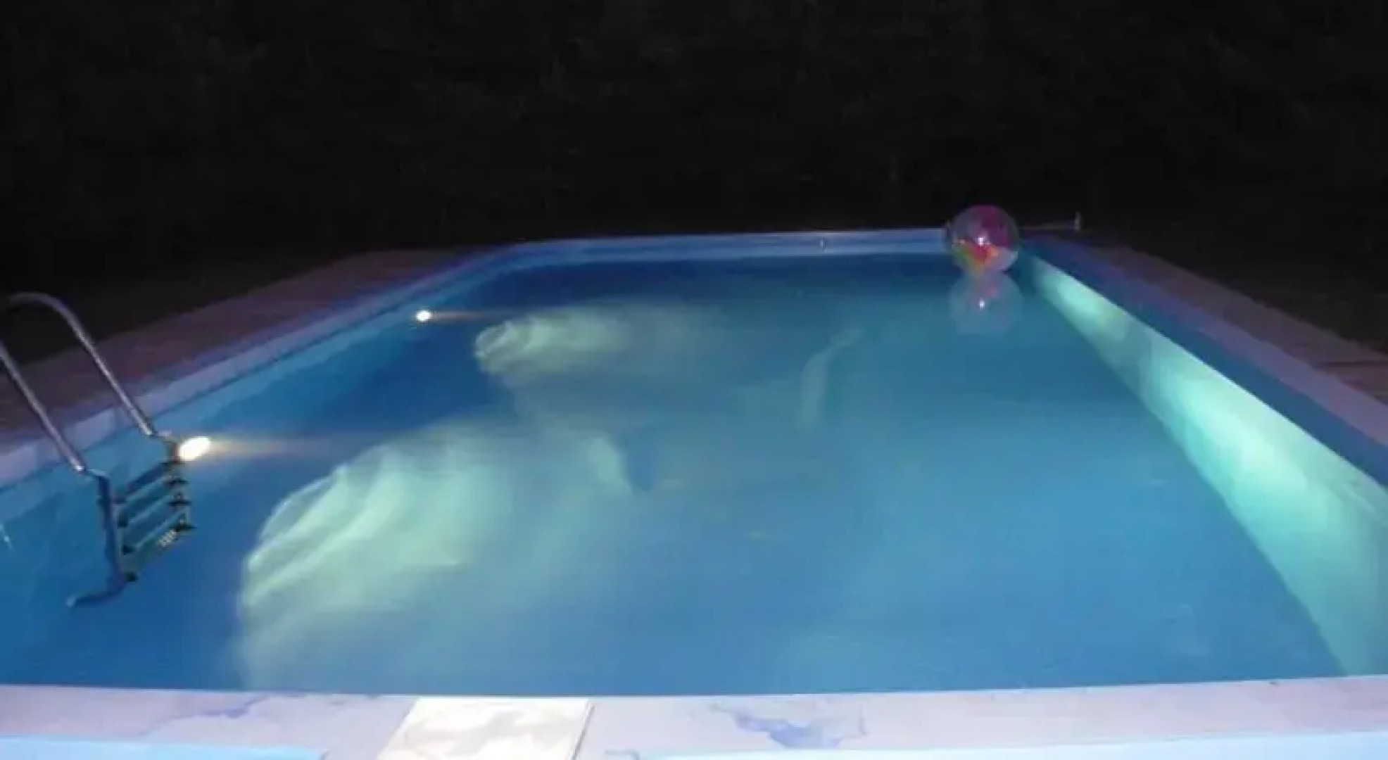 Arvydo svečių namai