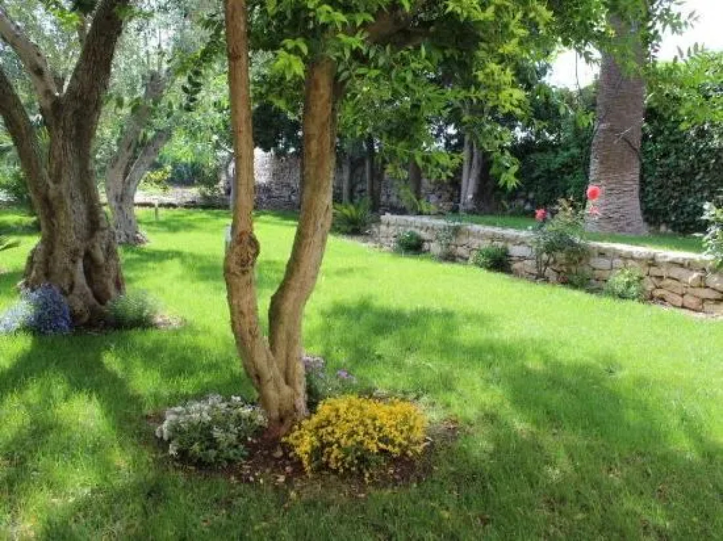 Casa Vacanze Le Tre Palme