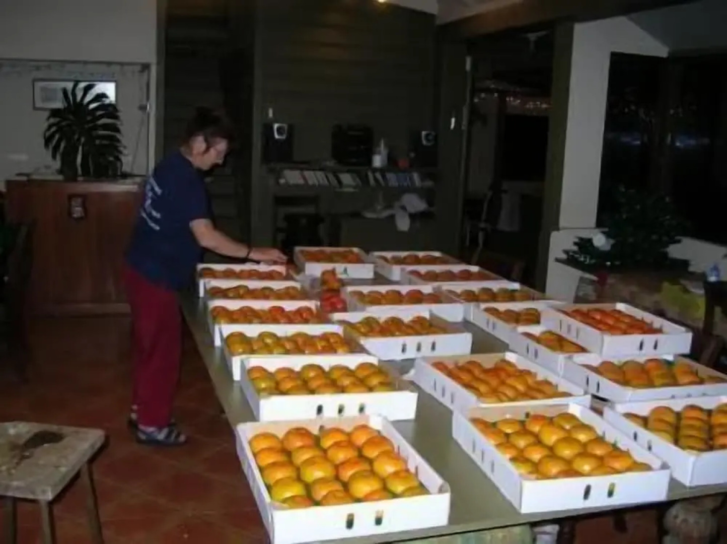 Rossmount Rural Retreat