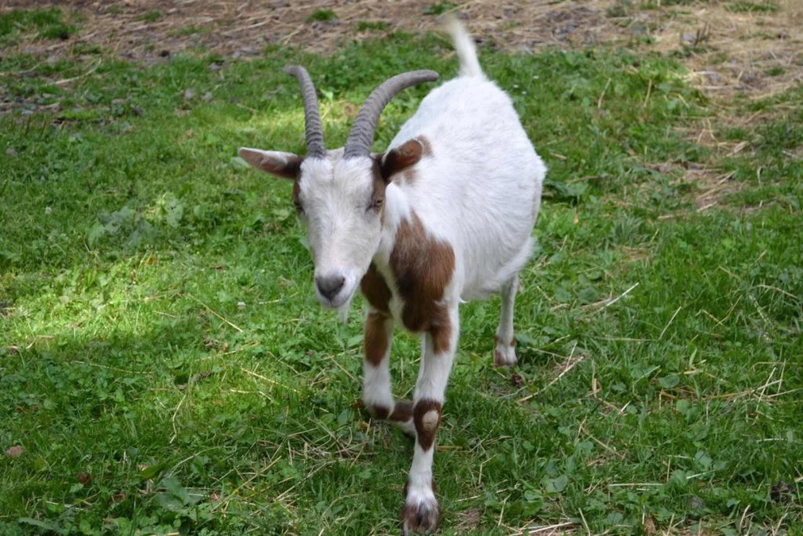 Freizeitzentrum Römerhütte