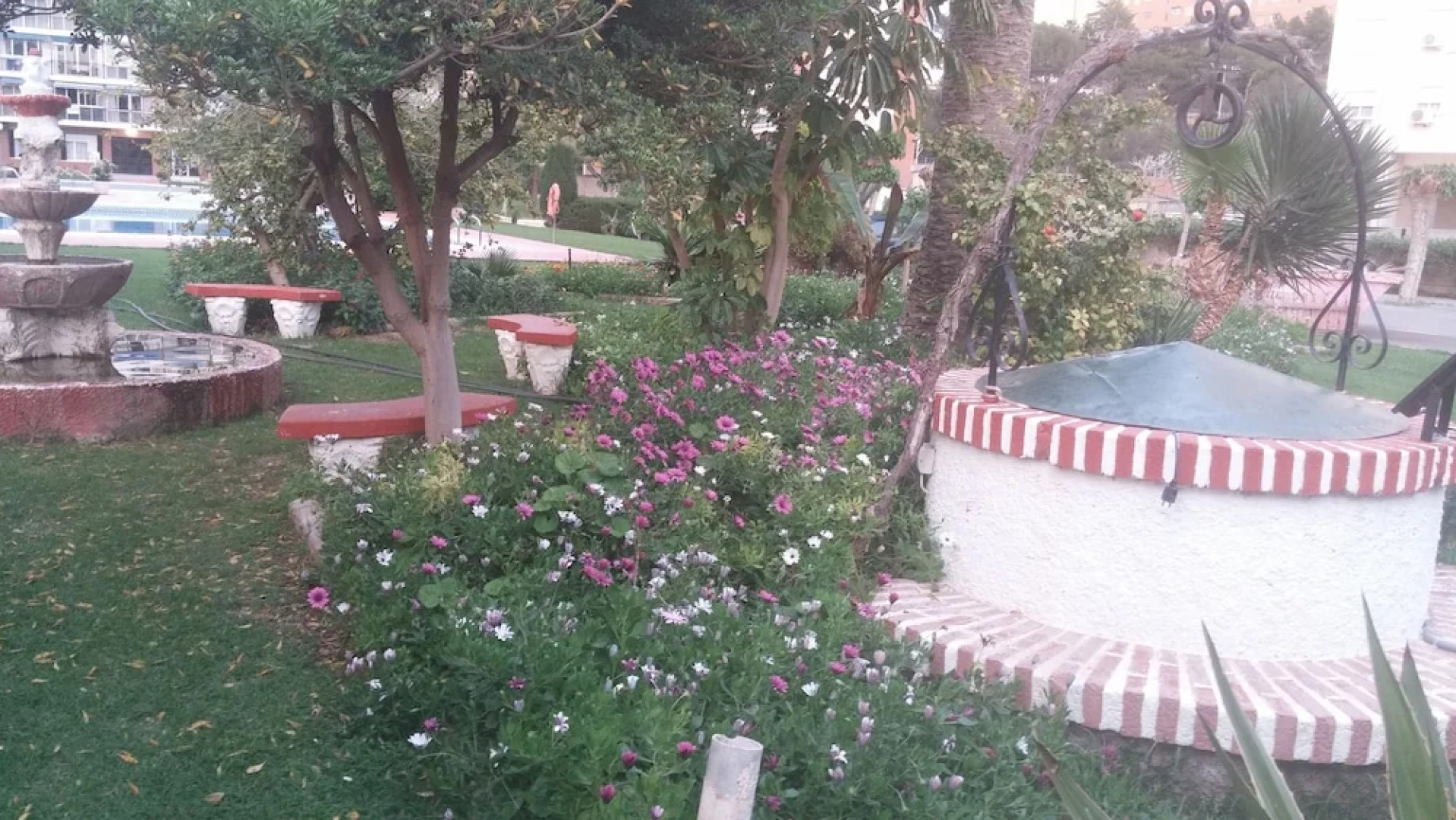 Studio Hannibal 1 Benidorm