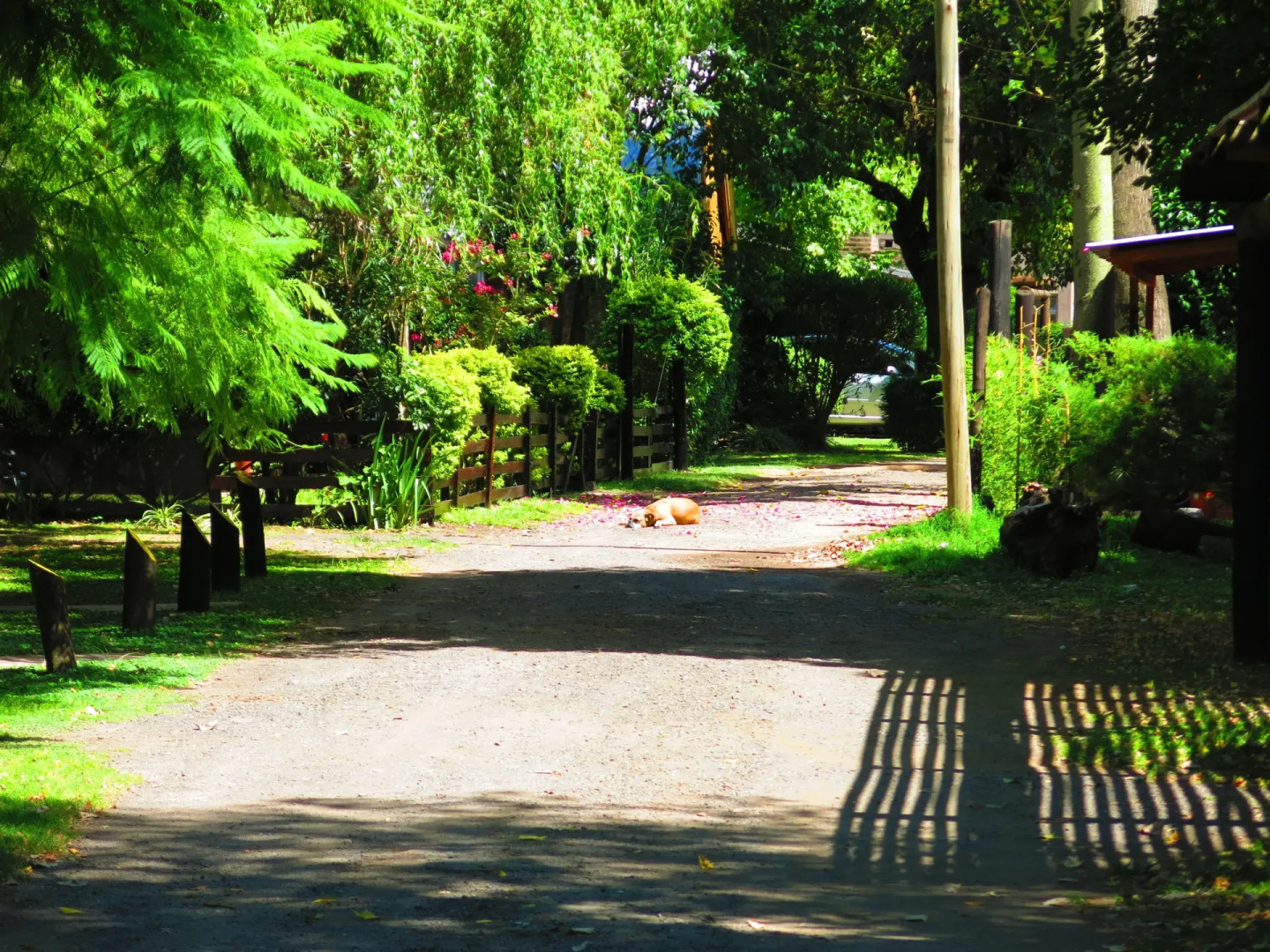 Los Platanos Cabañas & Suites