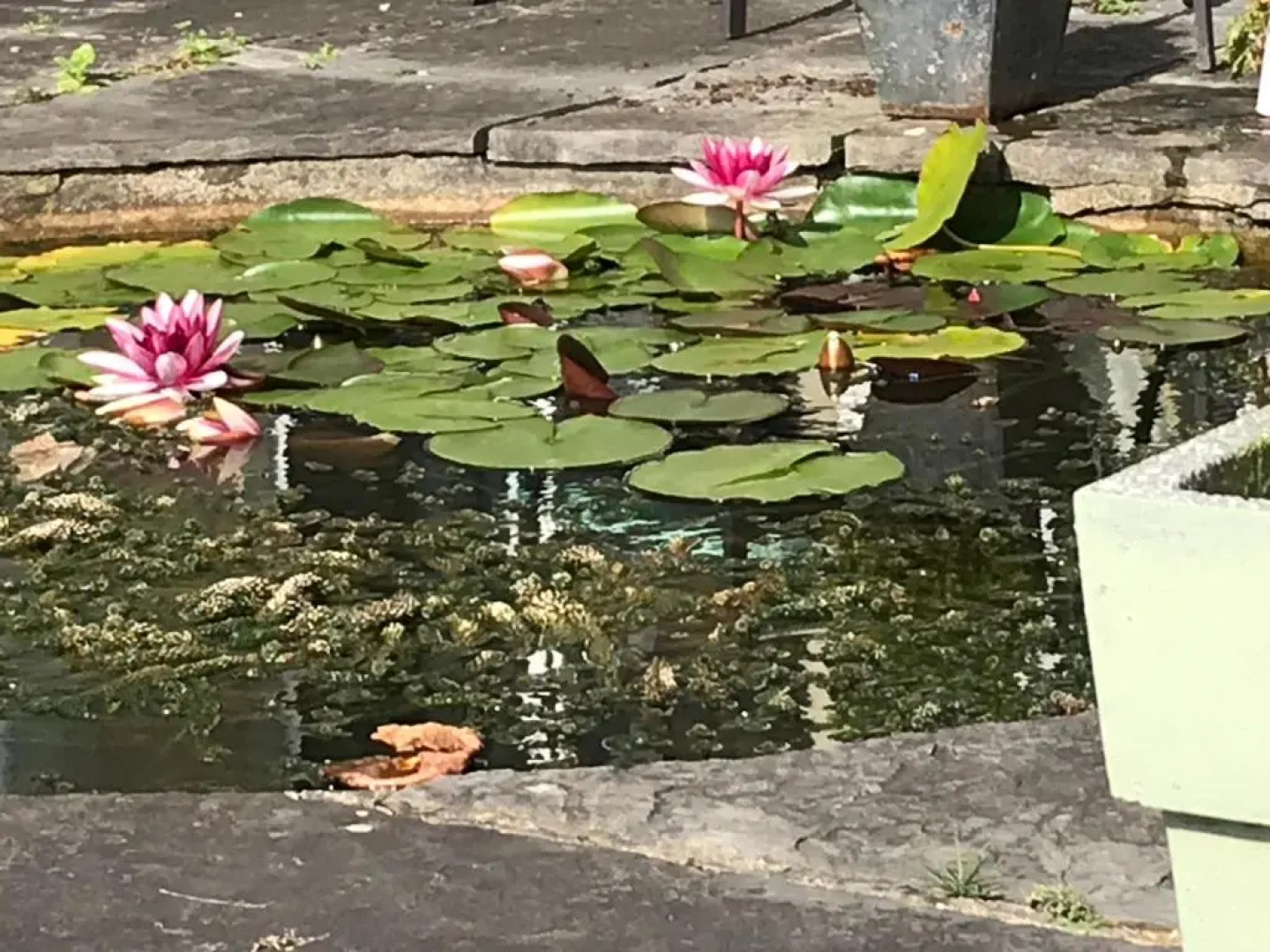 Rossmanagher Country House