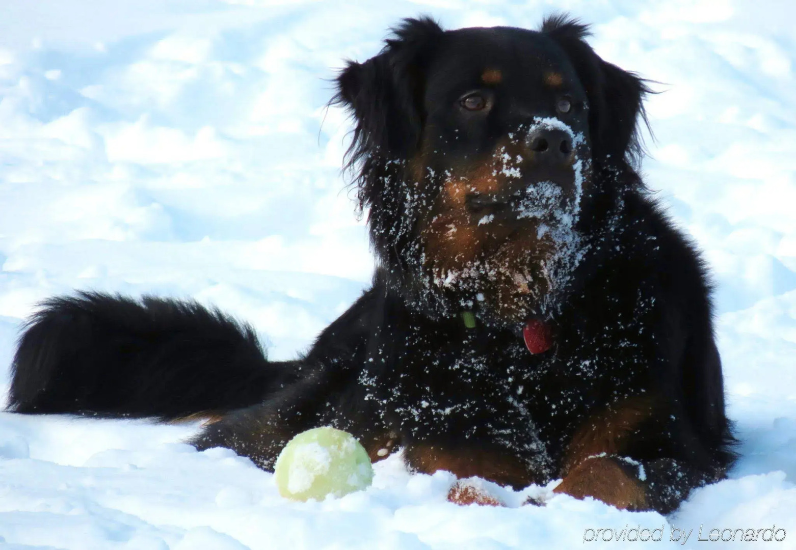 Holiday Inn Kingston Waterfront by IHG