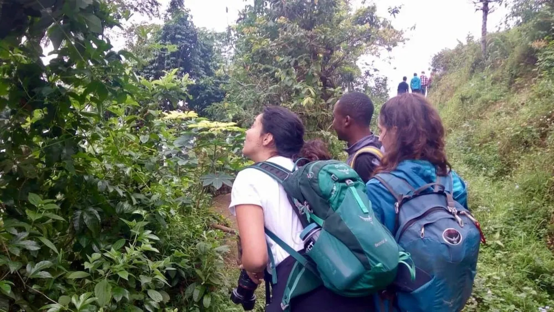 Kilihomebase & Campsite - Hostel