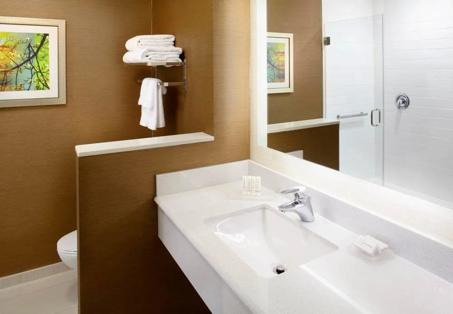 Fairfield Inn & Suites Wheeling Triadelphia at The Highlands