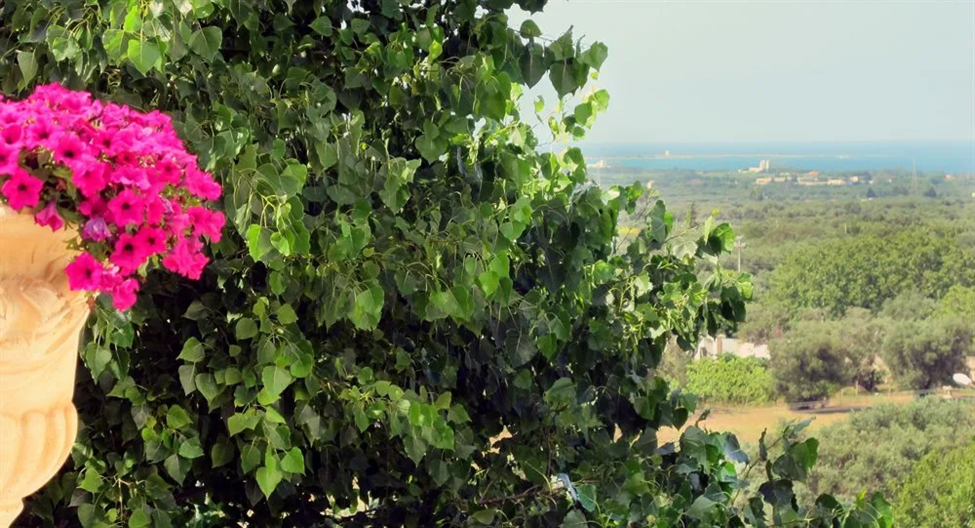 Tenuta Belvedere - Relais de Charme