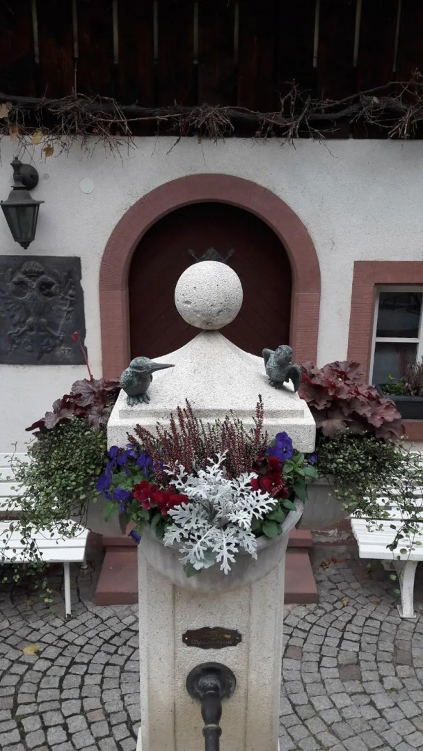 Hotel - Restaurant Adler