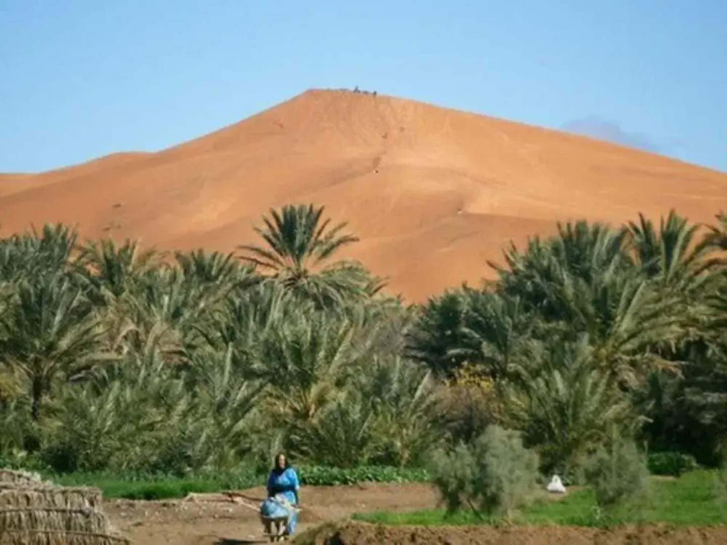 Riad Tadarte (Merzouga)