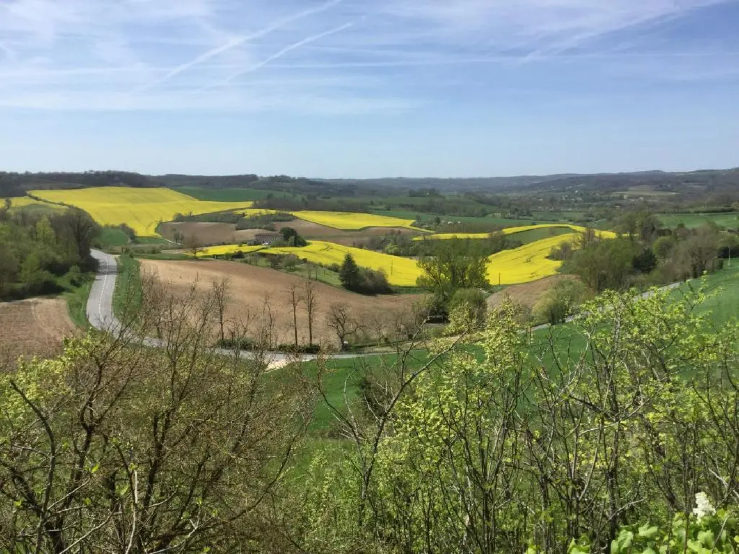 The Gite at No 1 Castelnau de Montmiral