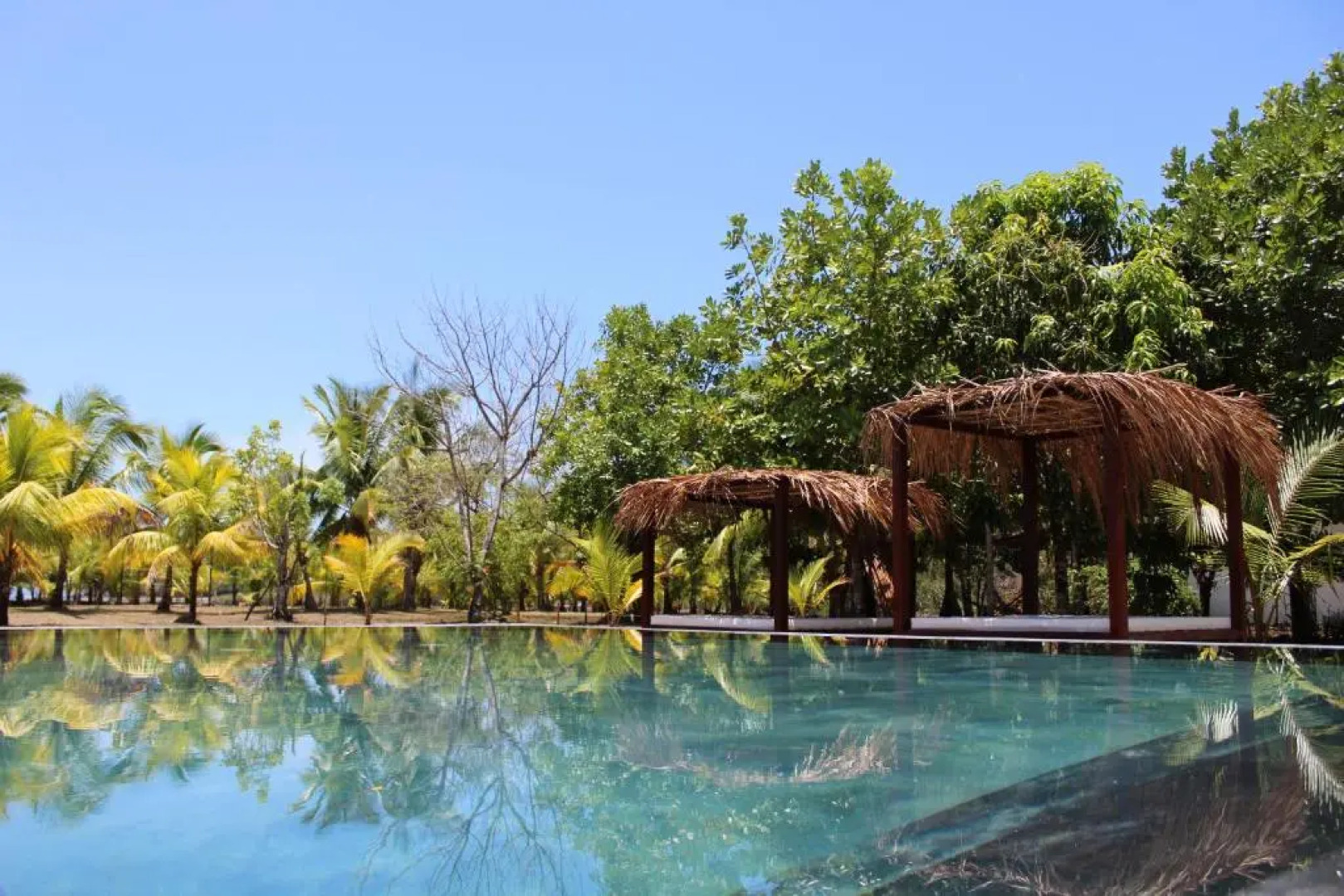 Hotel Hibiscus Garden / Jardin De Papos