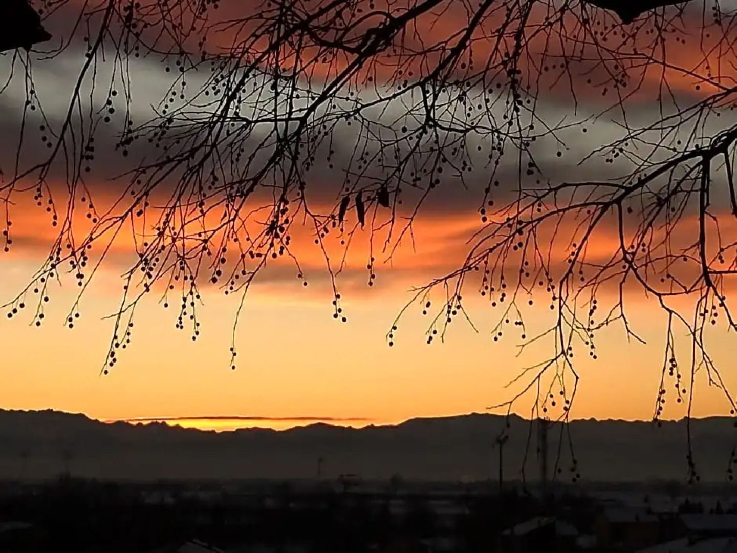 Dimora Castello dei Conti