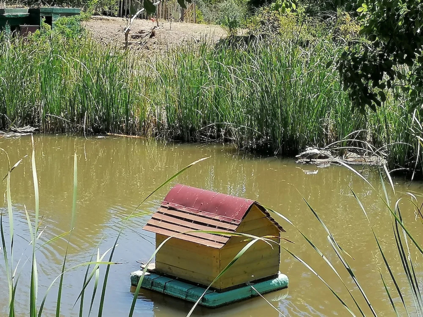 Rural Splendor 2-bed Cottage @talurdo Retreat