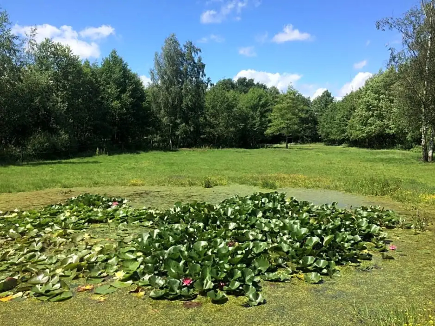 B&B Landgoed Bergerven