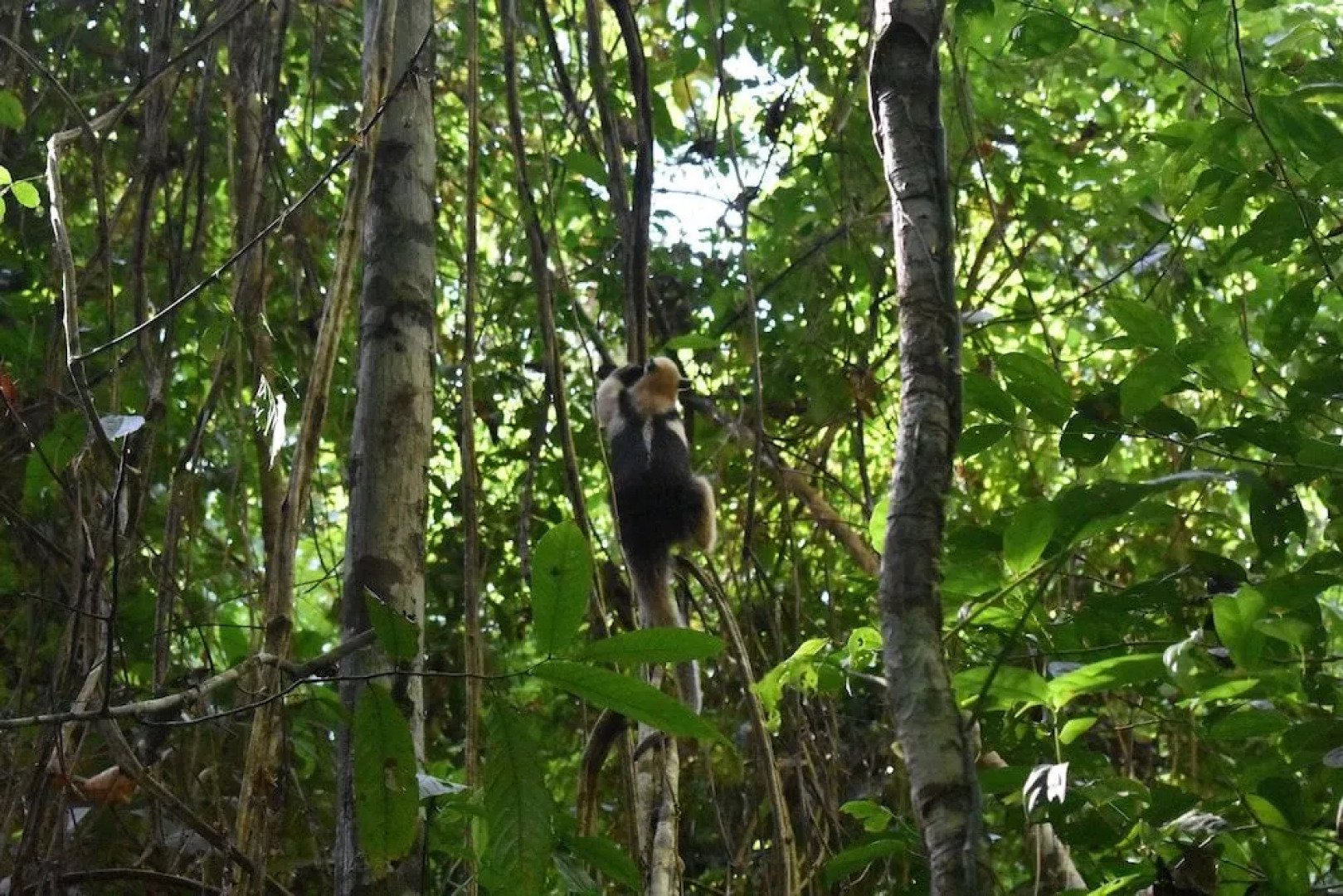 Pacheco Tours & Cabinas