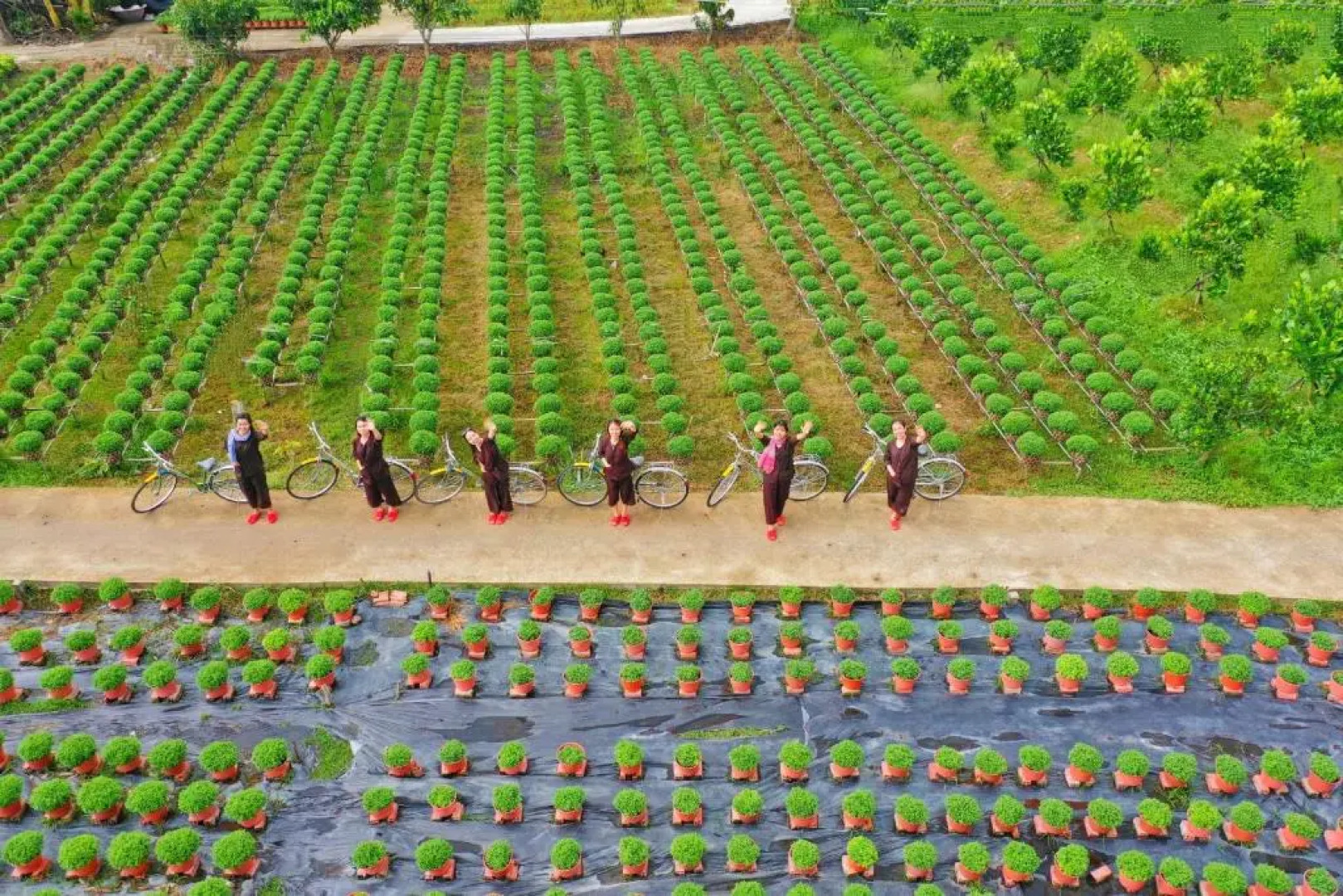 Rooster Mekong Garden & Villas