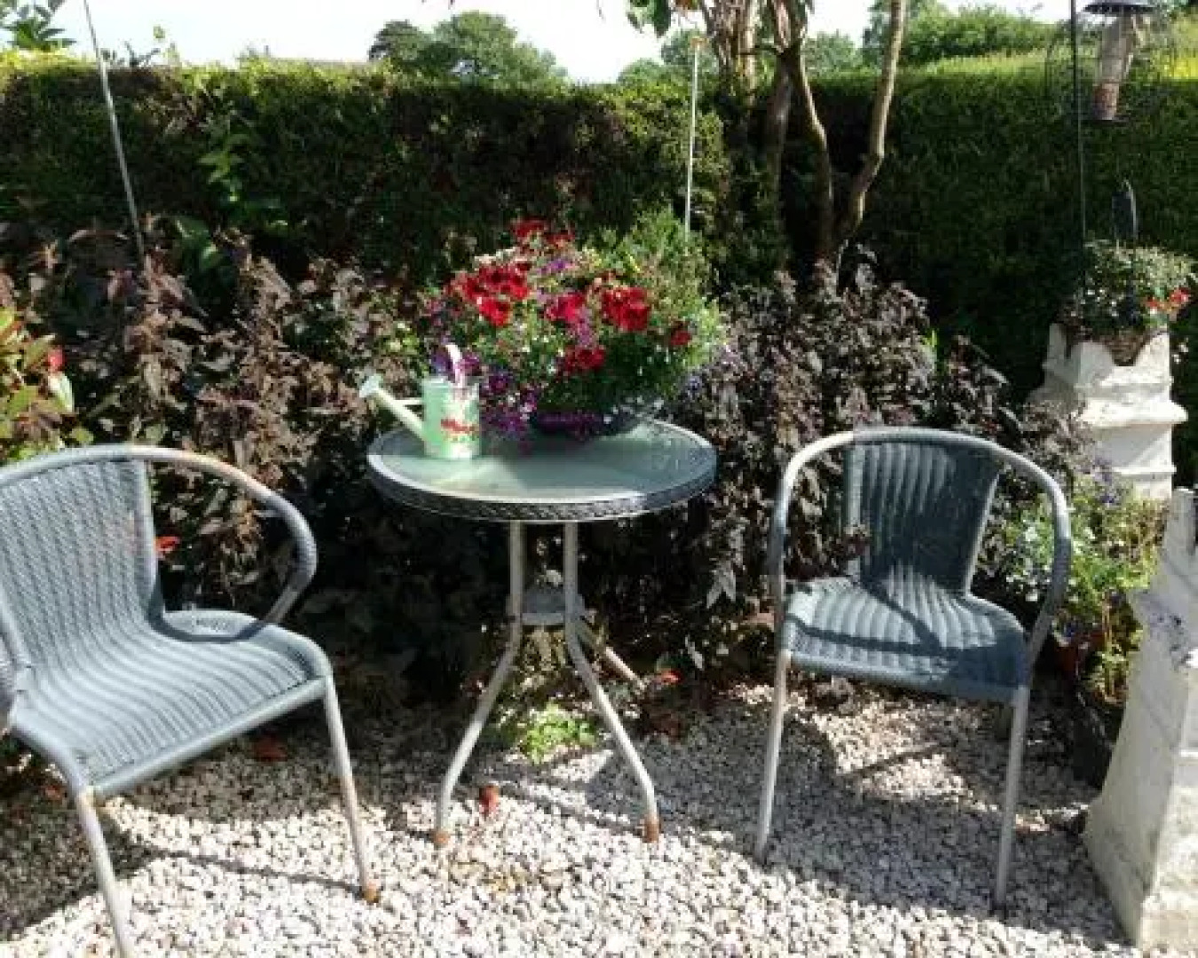 Rose Cottage Bed & Breakfast