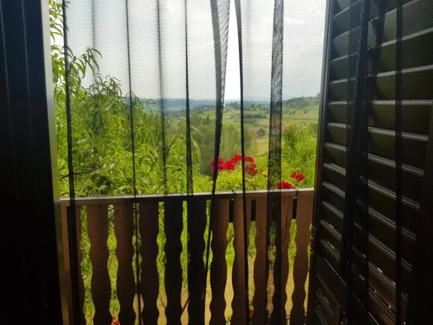 Apartman Potocki