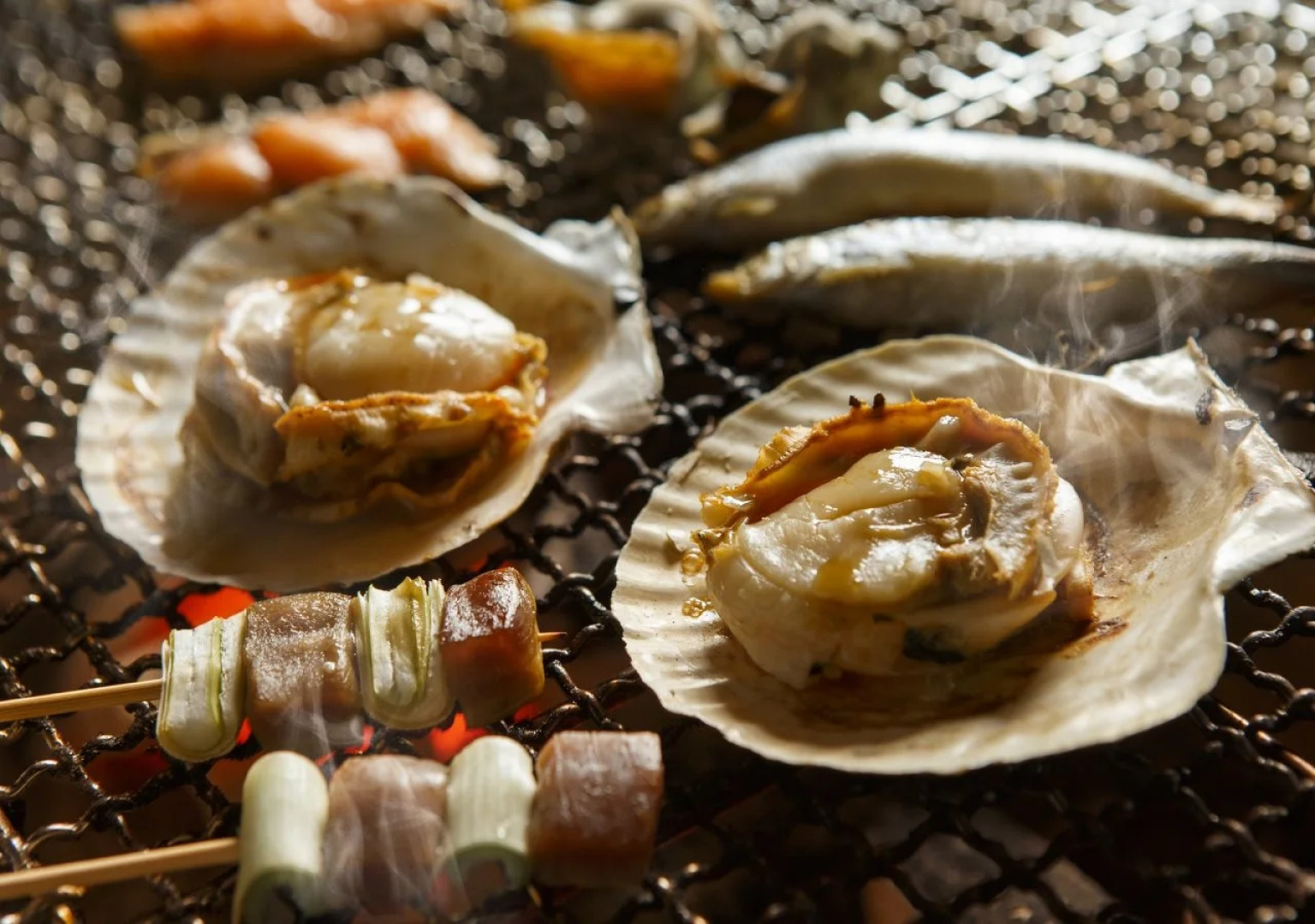 HAKODATE Umi no Kaze