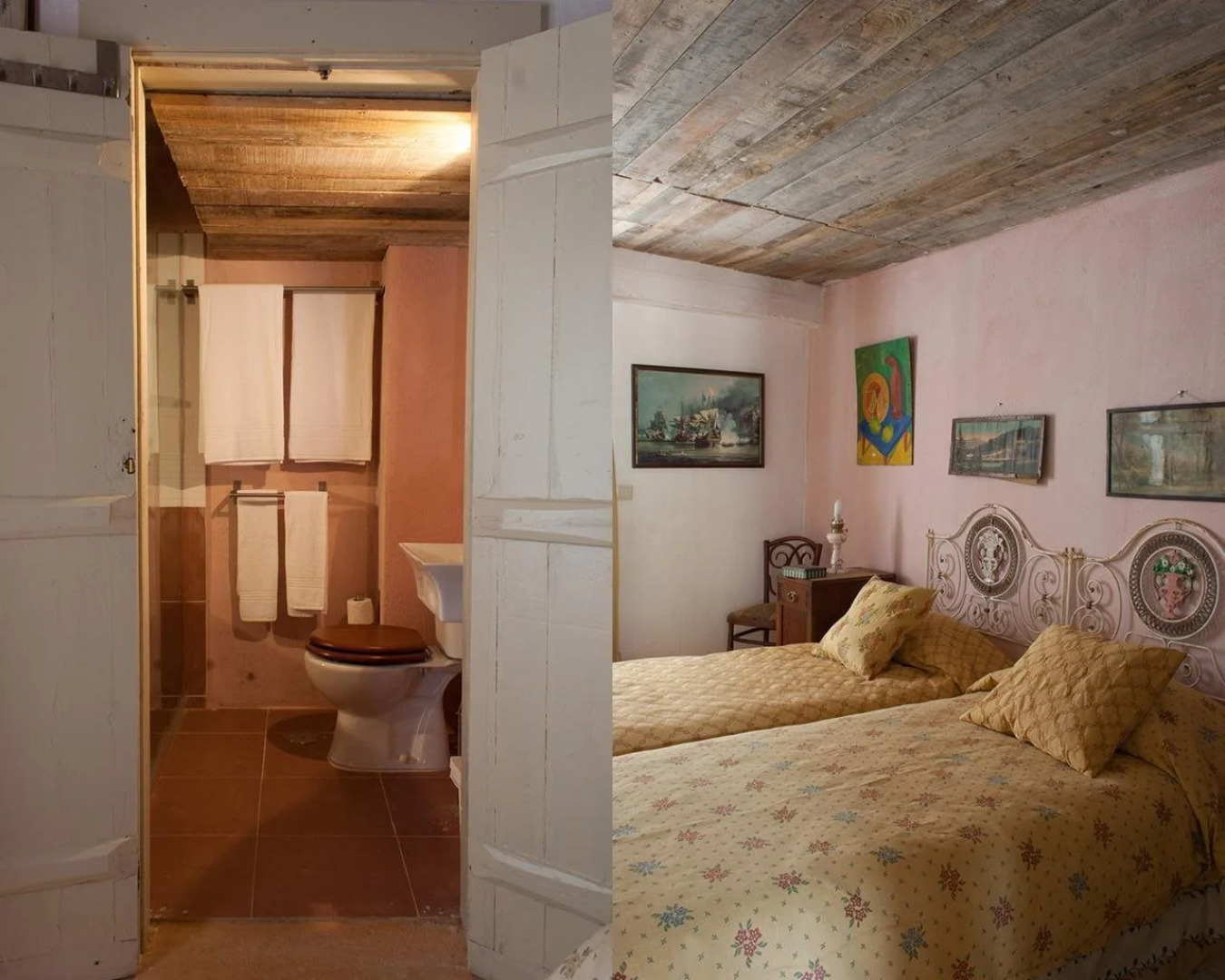 Uva do Monte - Blueberry Farm