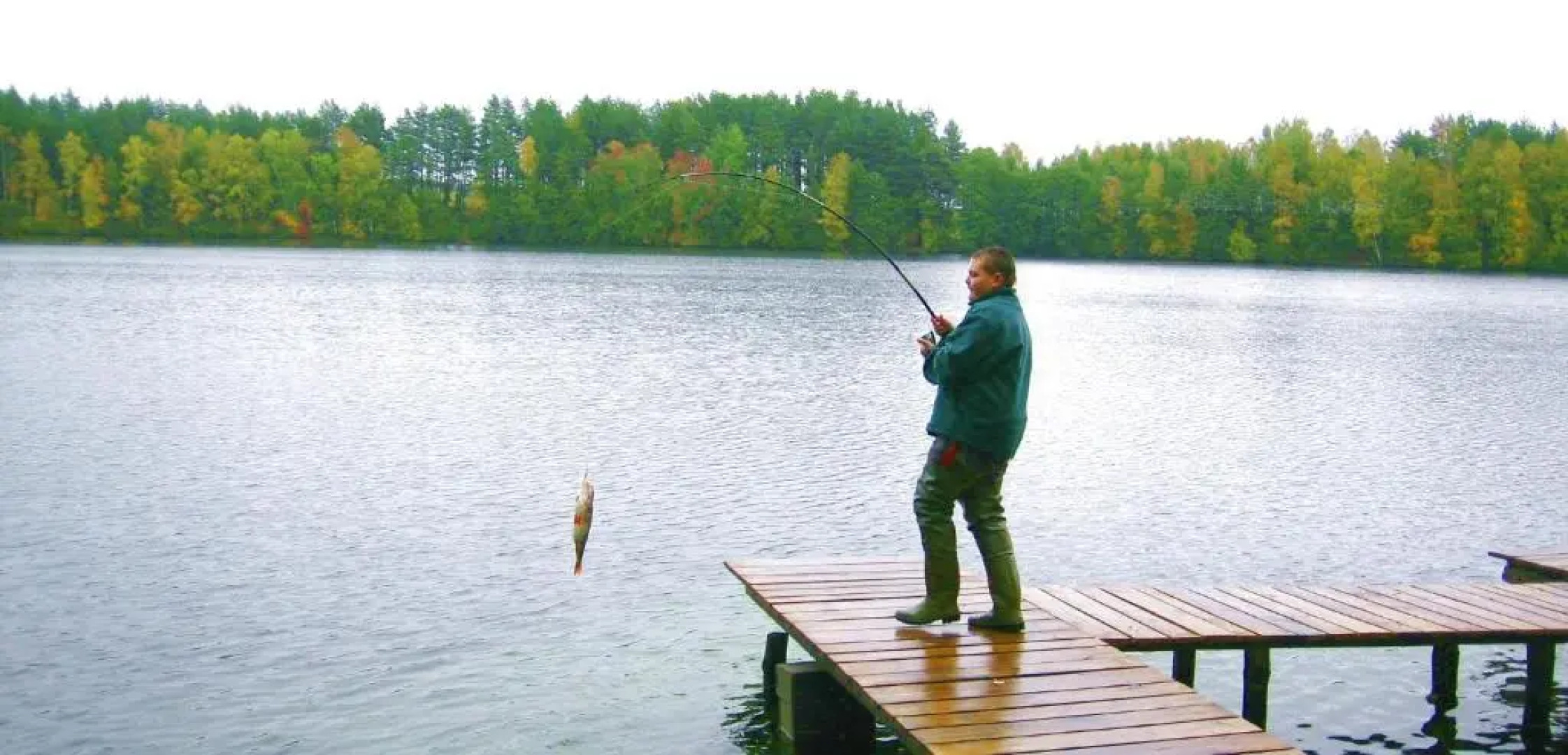 Agro Breza- domki letniskowe