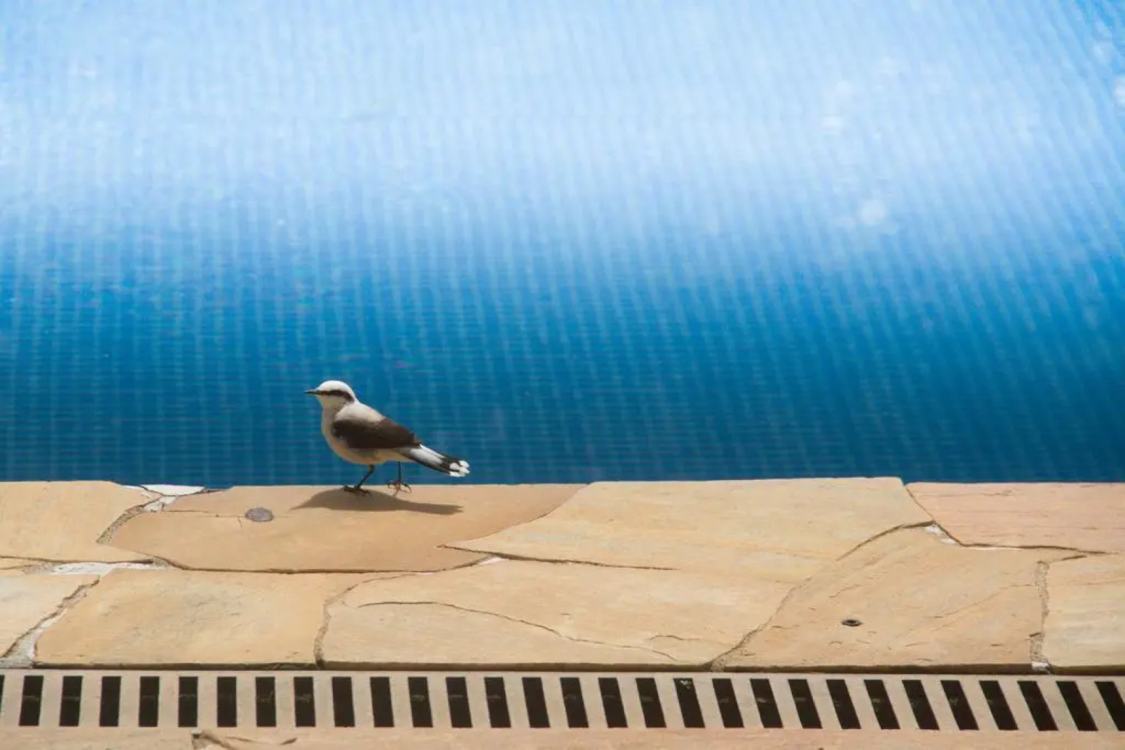 Hotel Delta Maresias