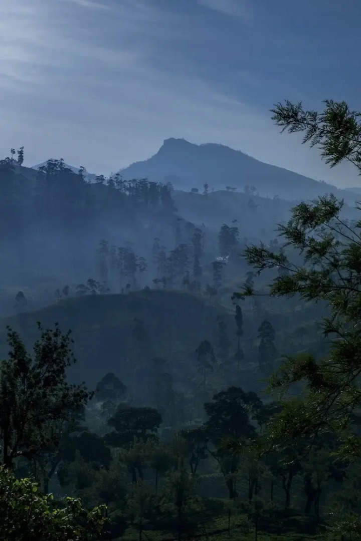 Strathdon by Zinc Journeys