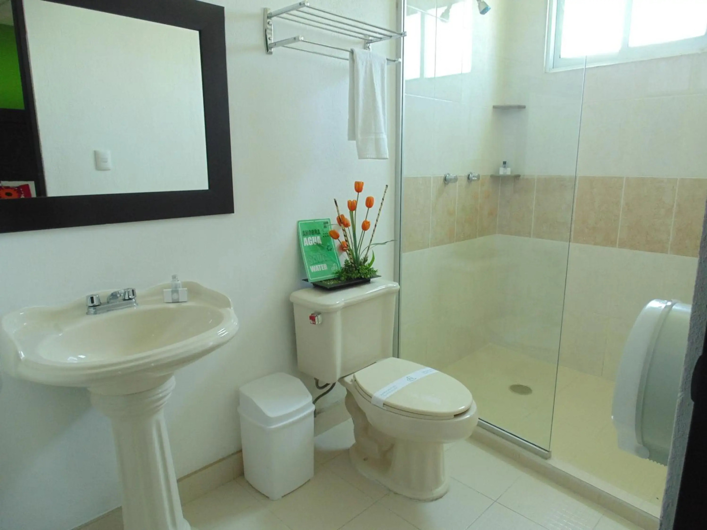 Chiapas Hotel Express