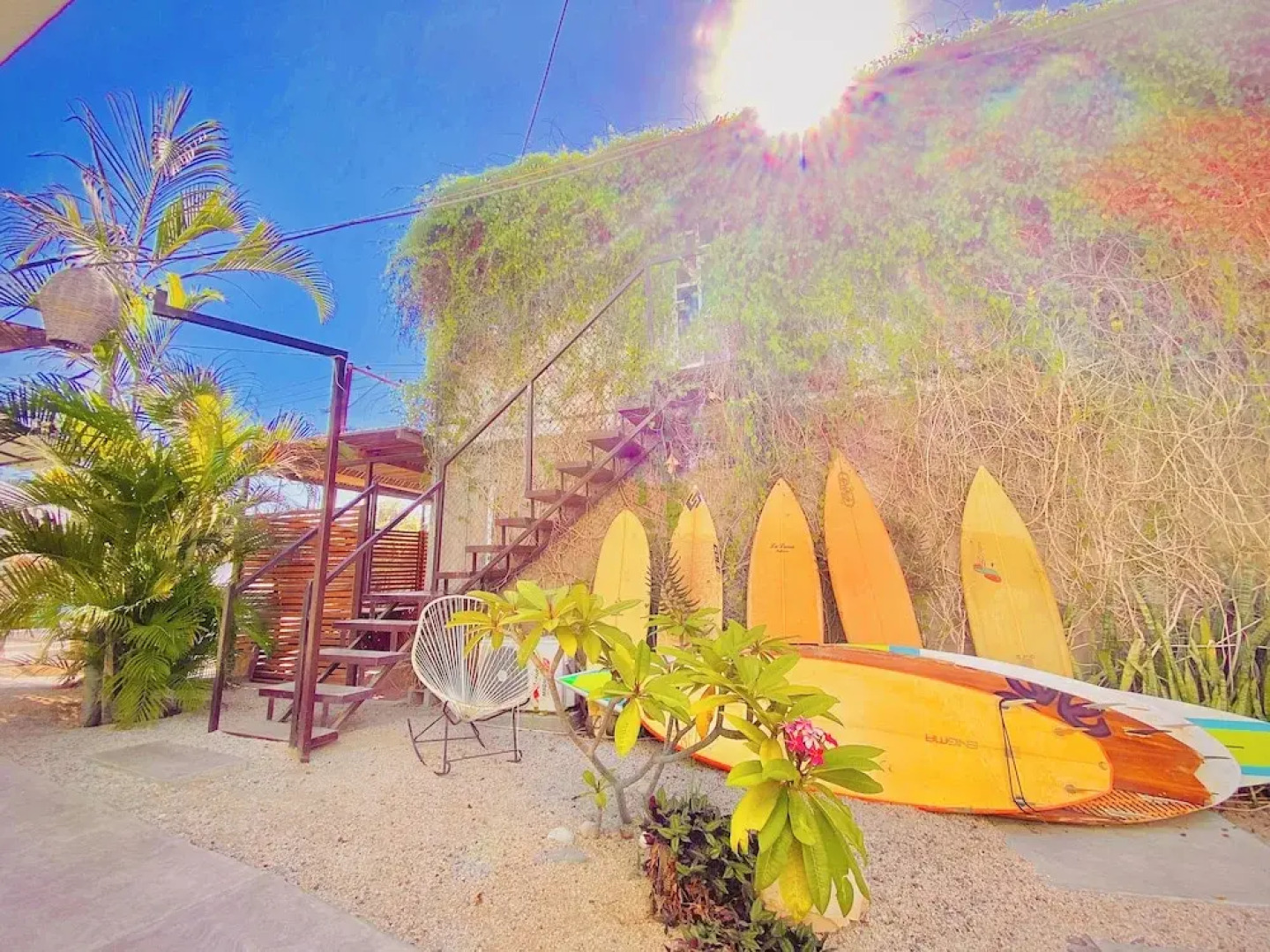 Perro Surfero Hotel Boutique - Todos Santos, BCS