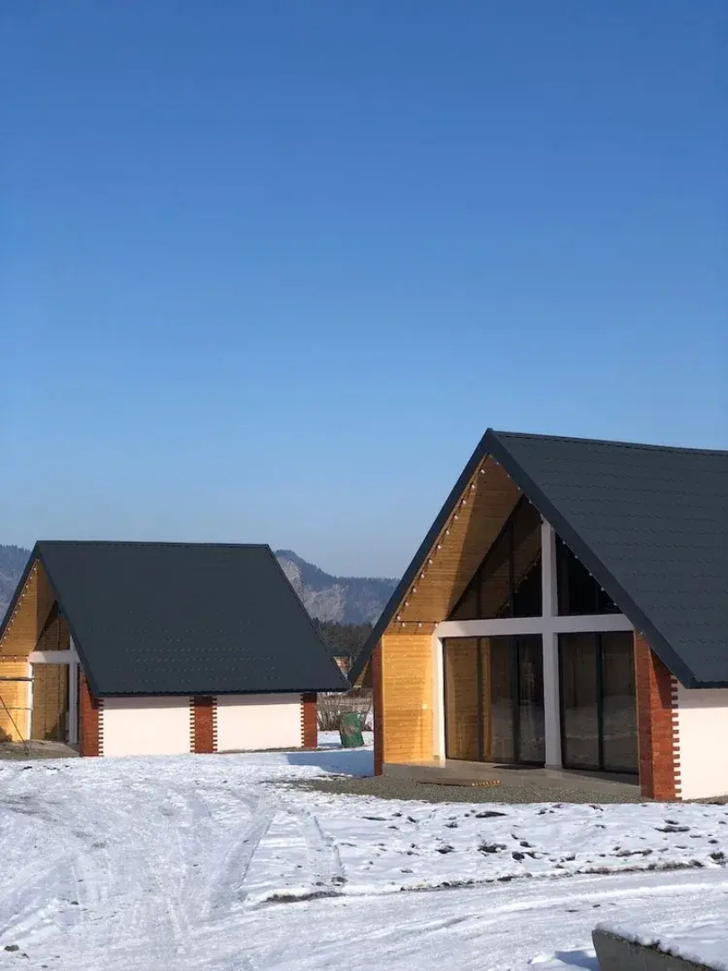 Гостиница Borjomi