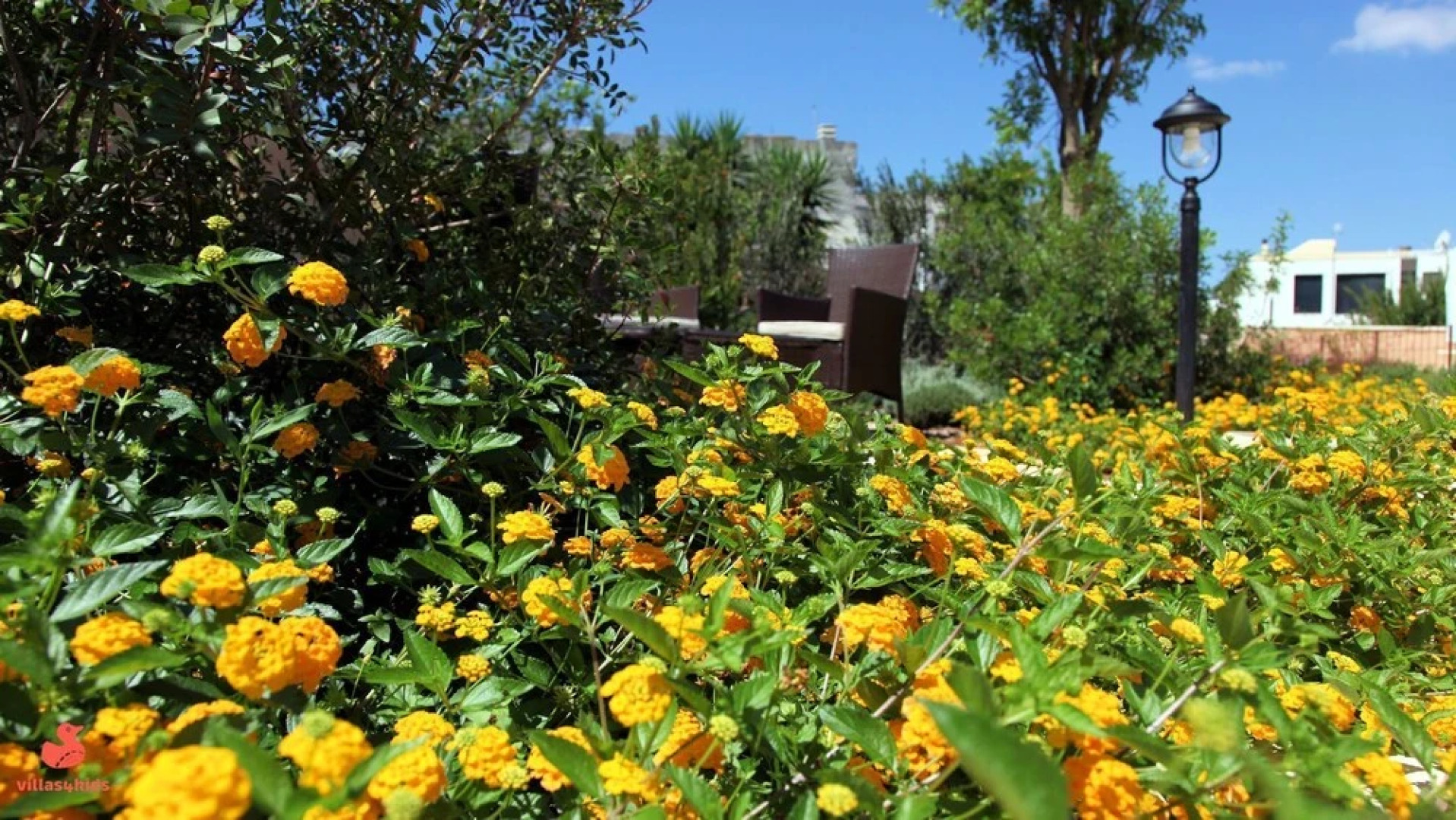 The Courtyard - Elsa