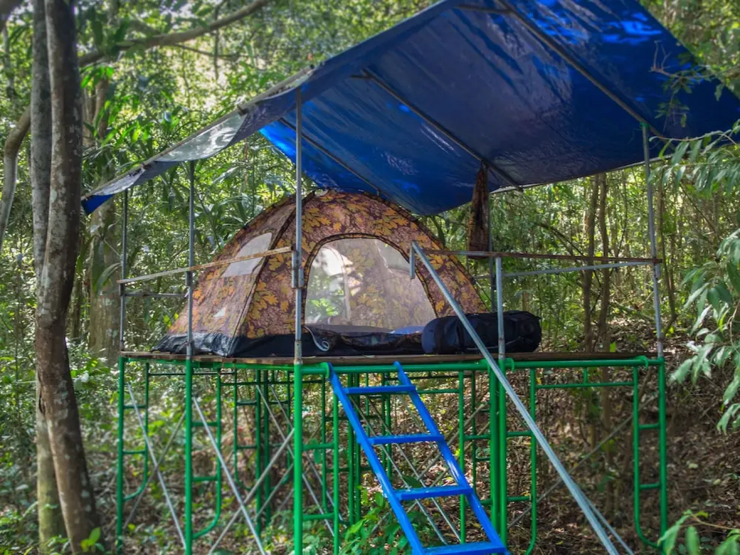 Wichai's Jungle Home Stay
