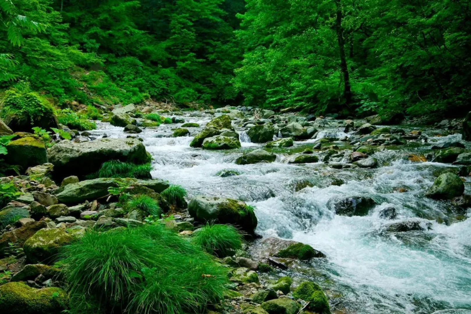 Buna no Sato Shirakamikan