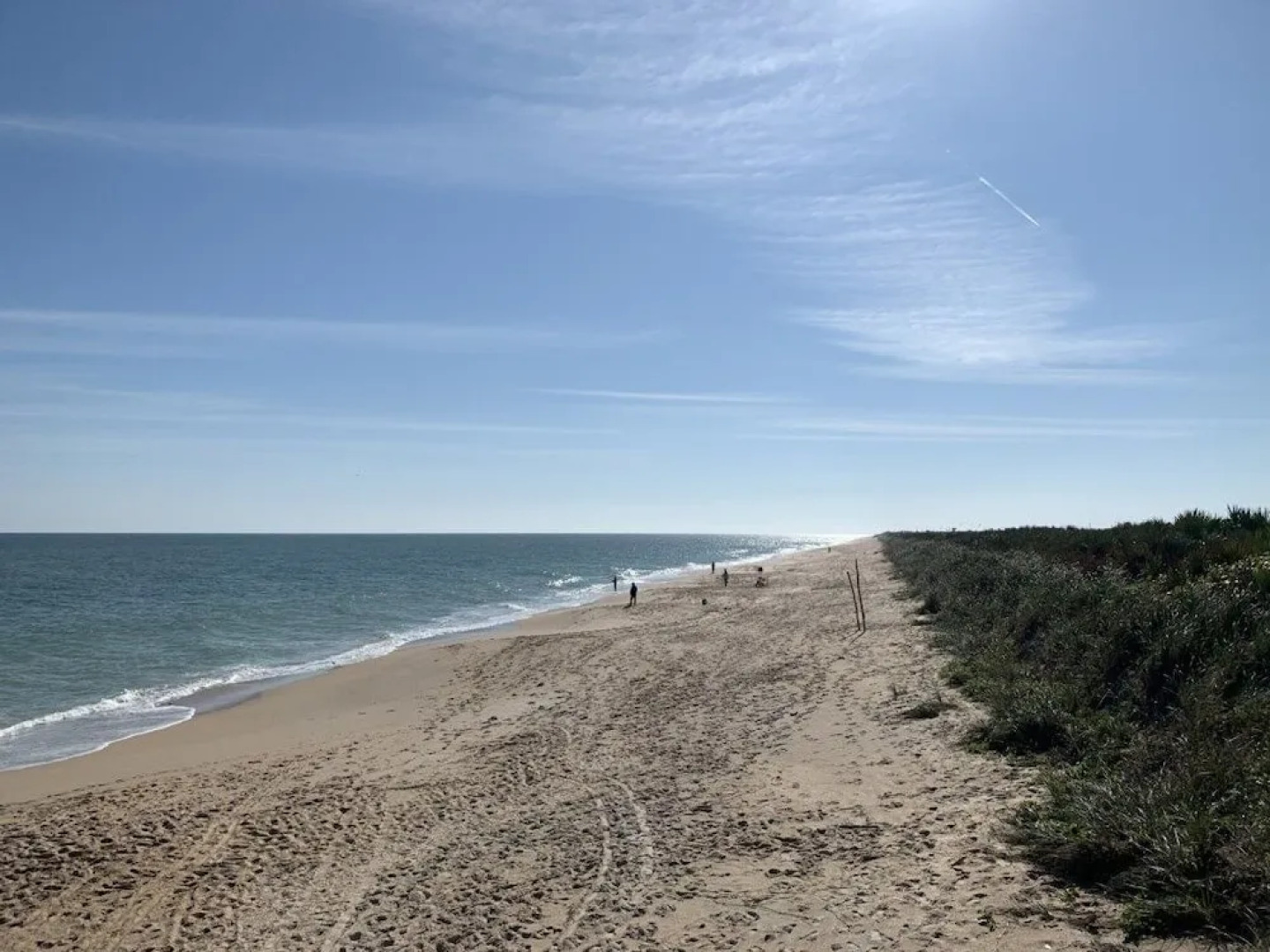 4495 S. Atlantic Ave #306S 2/2 Ocean front - 2 Br condo by RedAwning